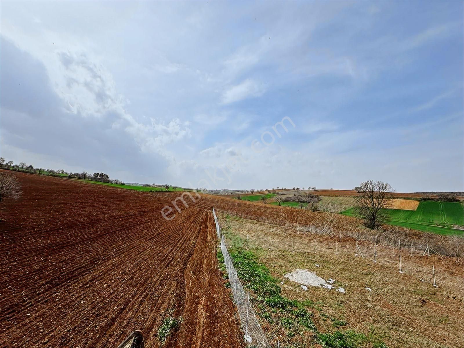 Megakent* Yenişehir Papatya Köyü'nde Satılık Hobi Bahçeleri - Görsel 3