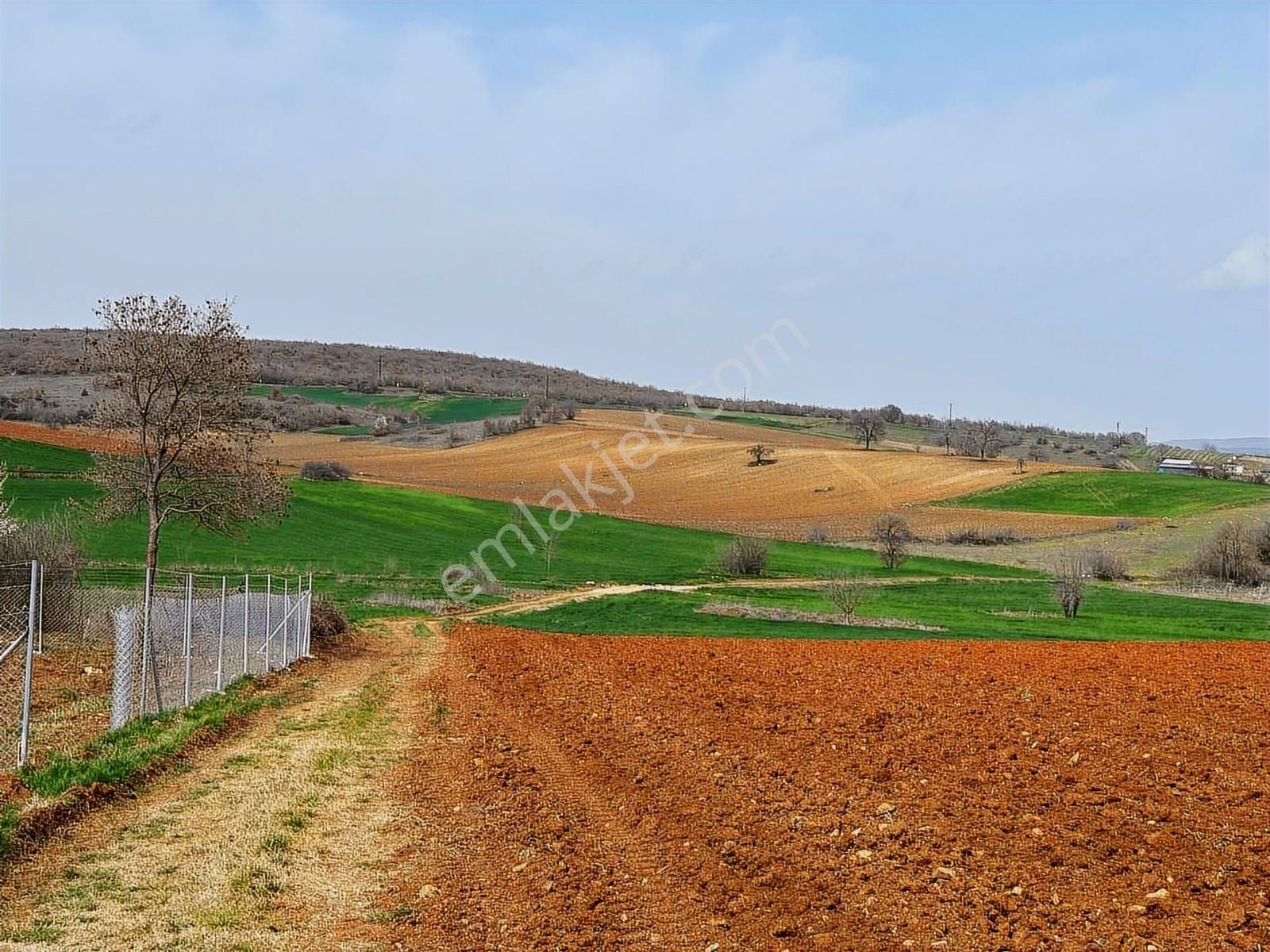 Megakent* Yenişehir Papatya Köyü'nde Satılık Hobi Bahçeleri - Görsel 5