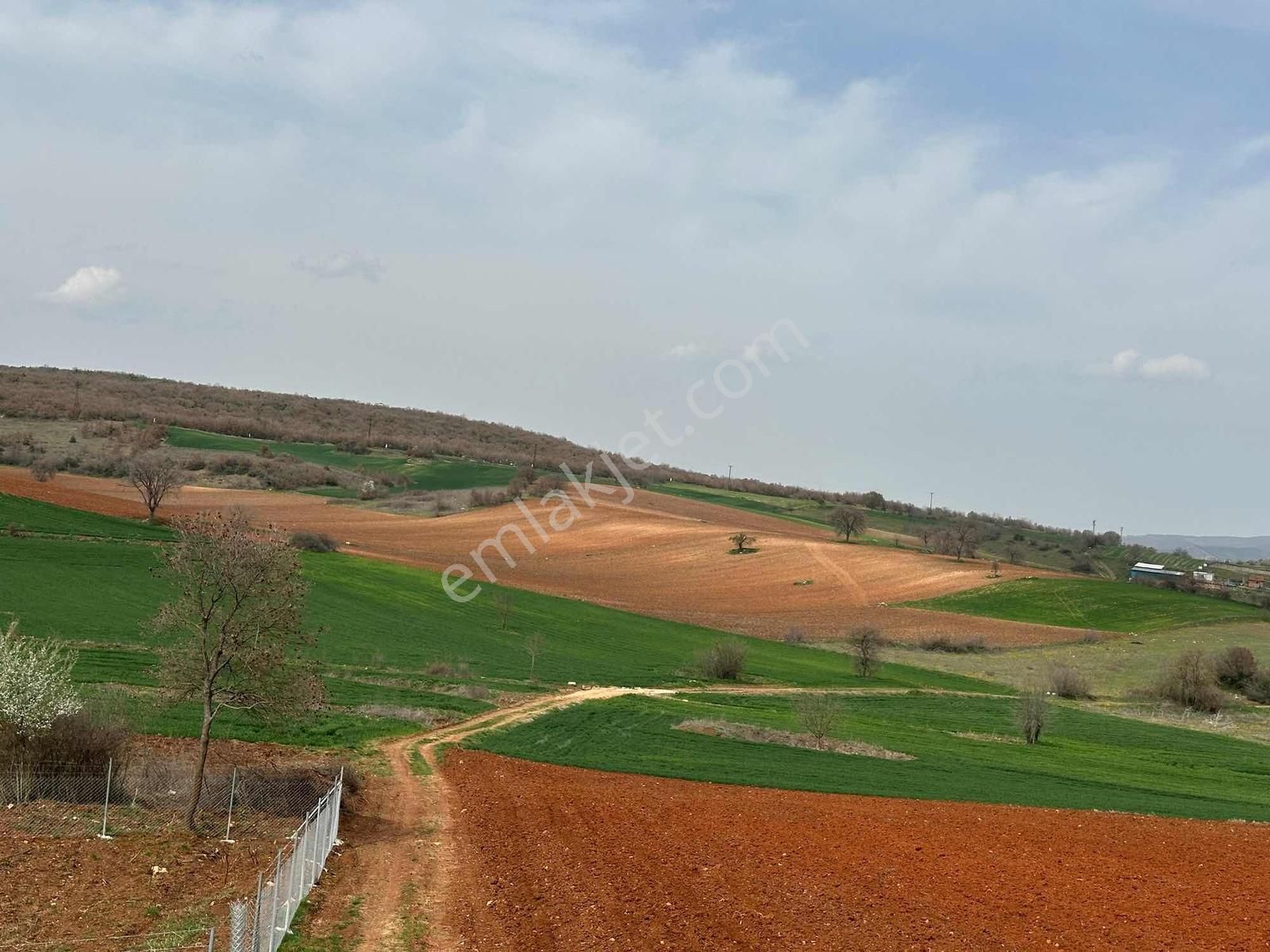 Megakent* Yenişehir Papatya Köyü'nde Satılık Hobi Bahçeleri - Görsel 18
