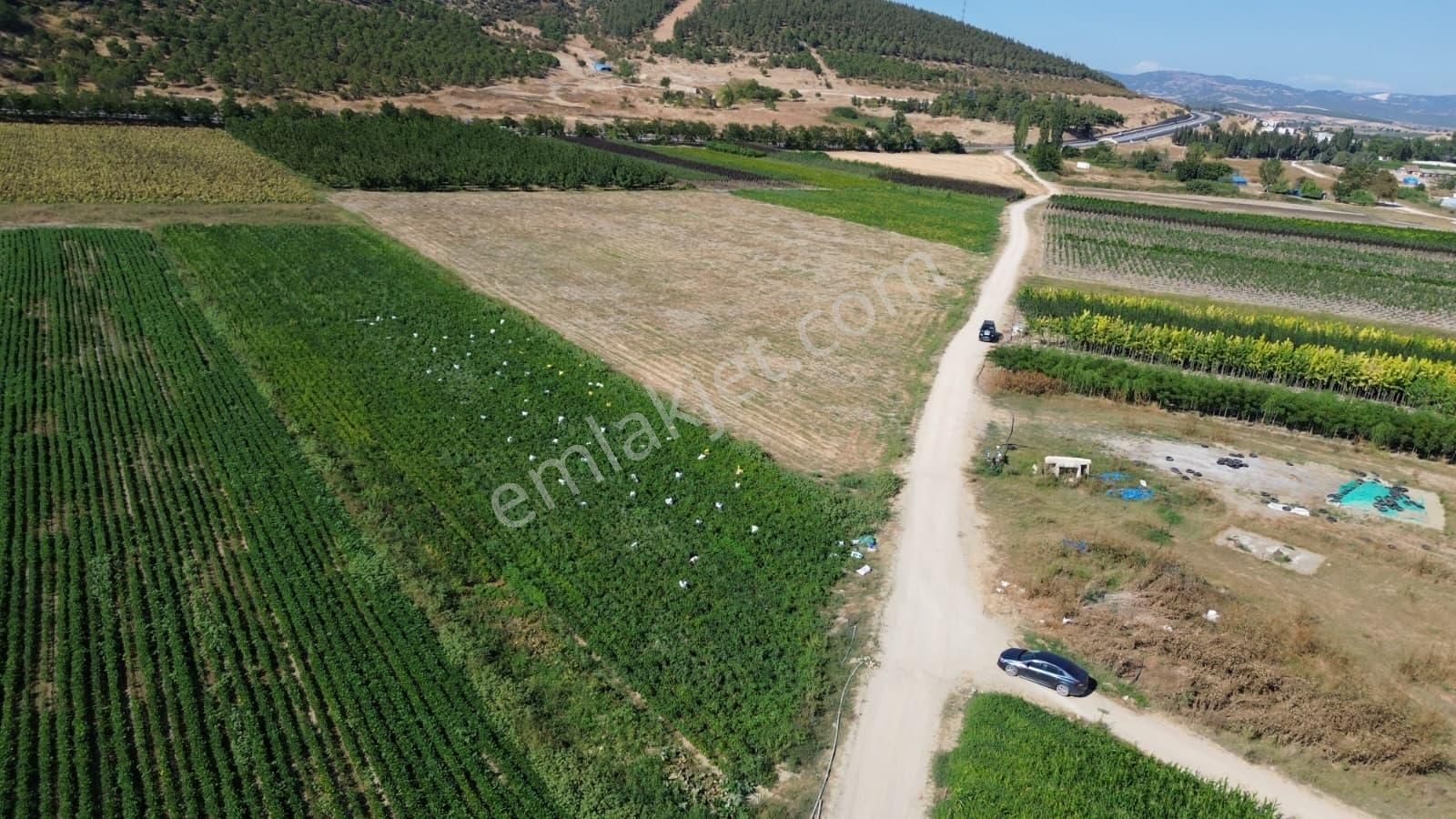 Megakent'ten Yenişehir Koyunhisar'da 390m² Satılık Tarla - Görsel 11