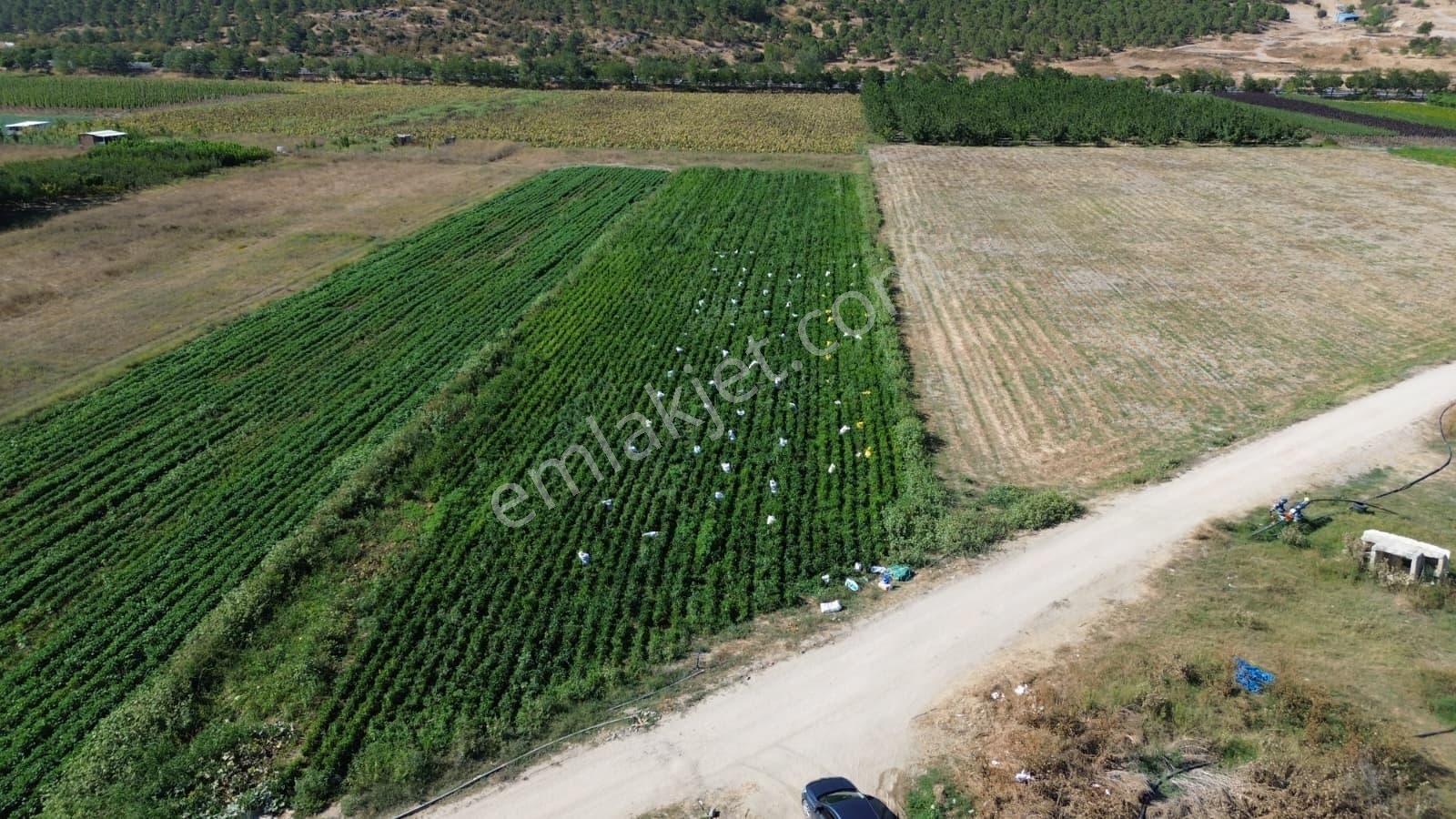 Megakent'ten Yenişehir Koyunhisar'da 390m² Satılık Tarla - Görsel 4