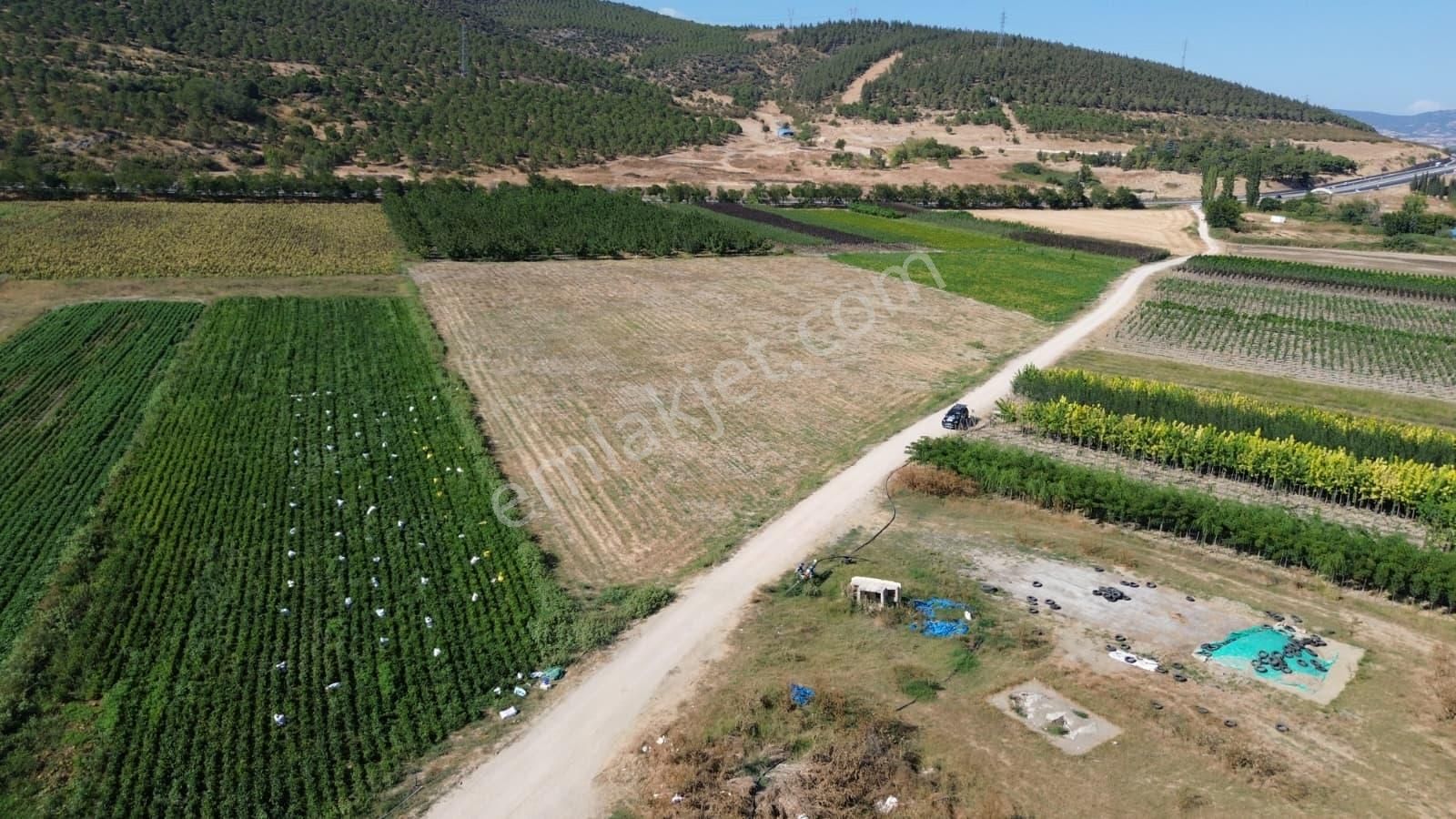 Megakent'ten Yenişehir Koyunhisar'da 390m² Satılık Tarla - Görsel 6