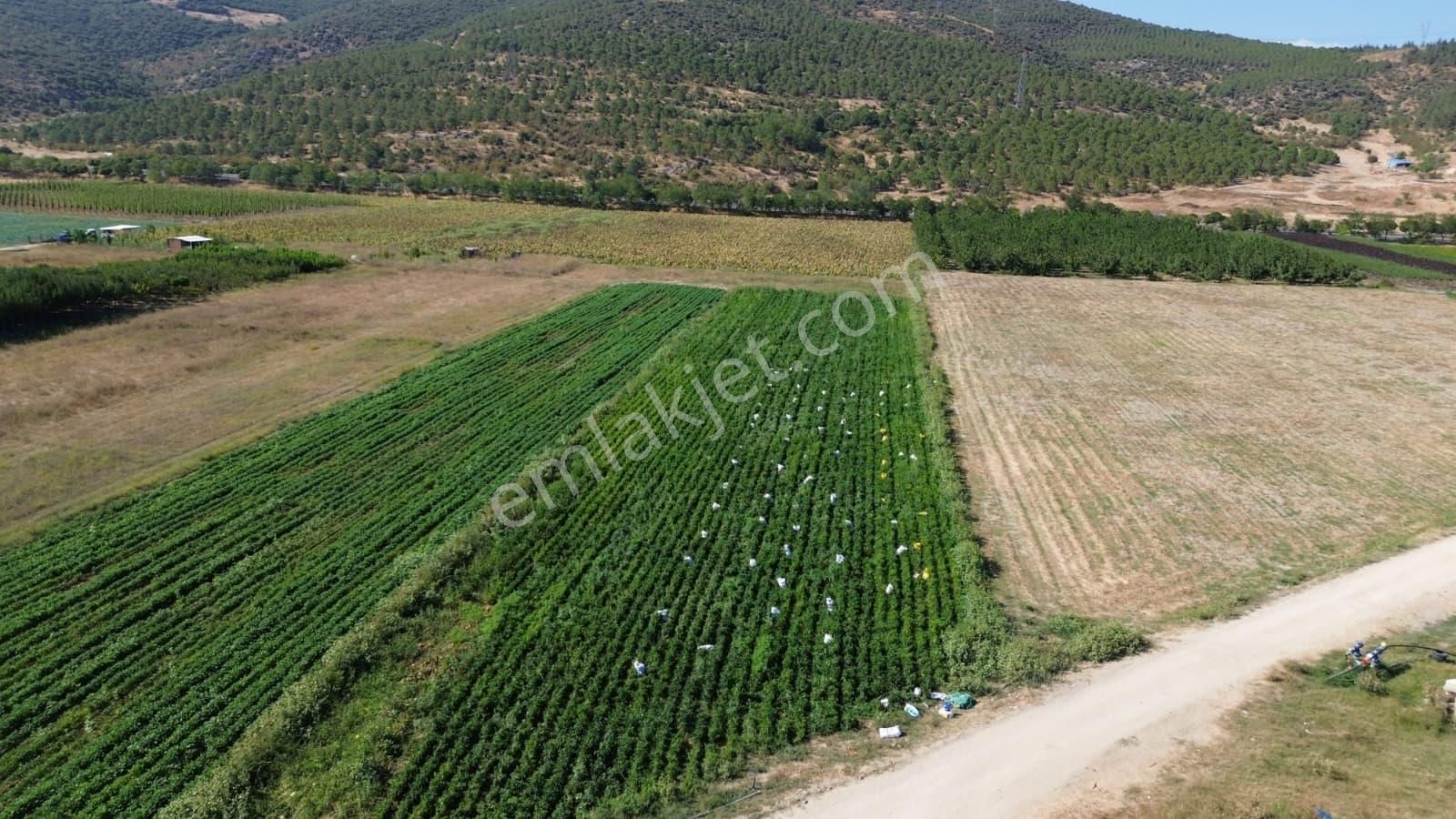 Megakent'ten Yenişehir Koyunhisar'da 390m² Satılık Tarla - Görsel 5