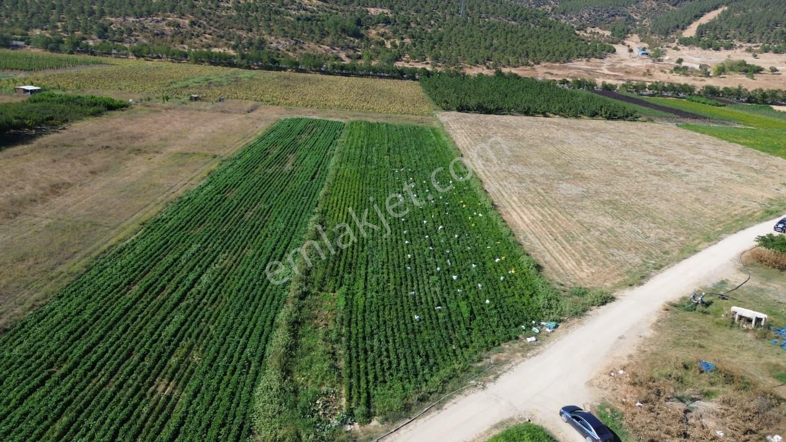 Megakent'ten Yenişehir Koyunhisar'da 390m² Satılık Tarla - Görsel 8