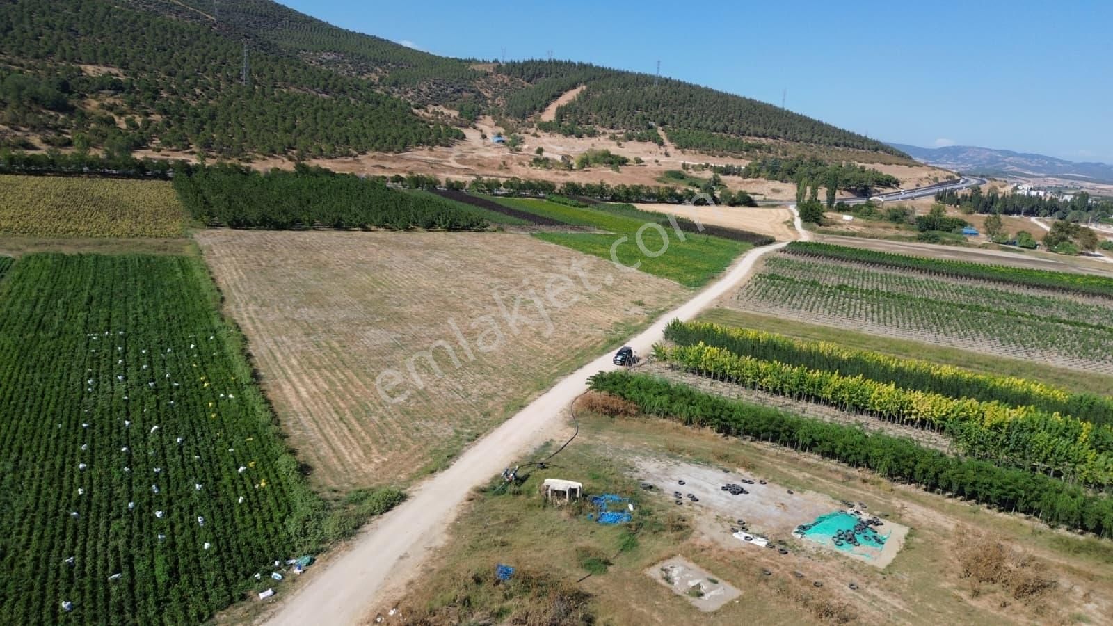 Megakent'ten Yenişehir Koyunhisar'da 390m² Satılık Tarla - Görsel 2