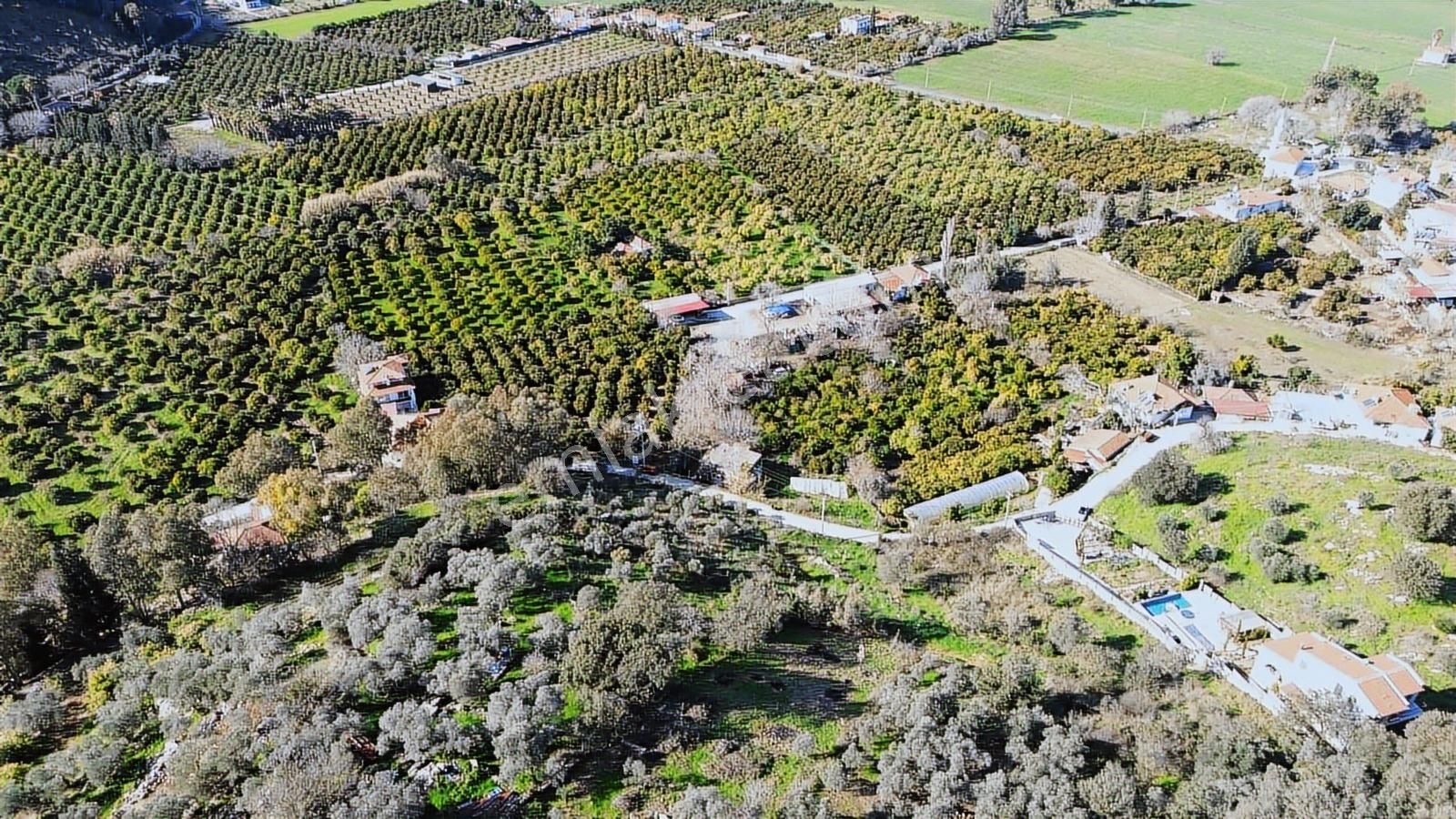 Muğla Ula Çıtlık Bölgesinde Satılık İmarlı 883m2 Müstakil Arsa - Görsel 24