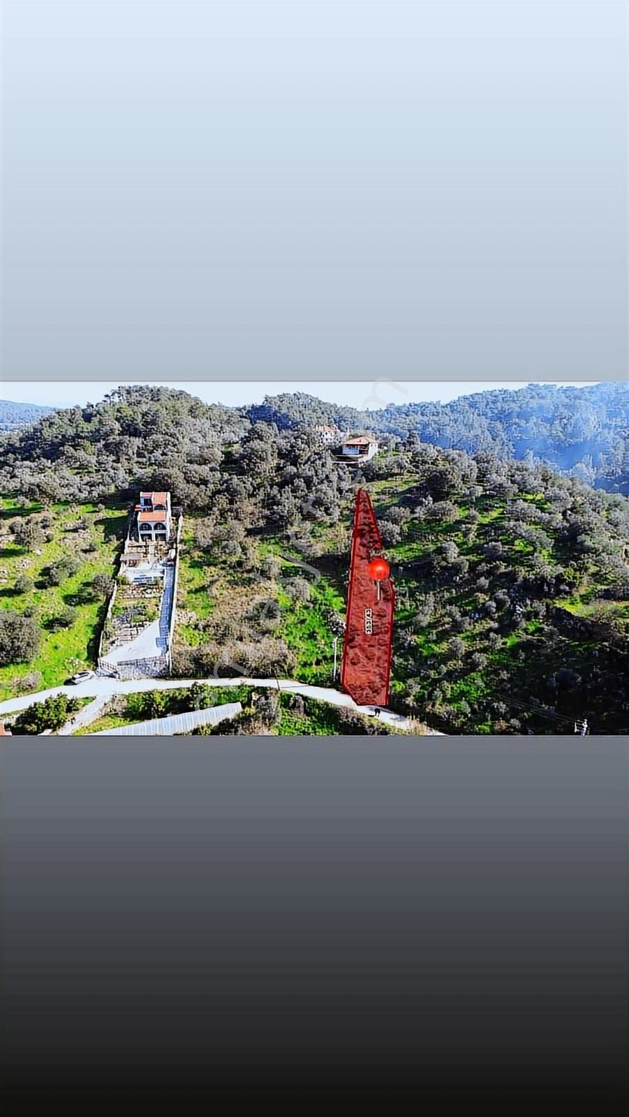 Muğla Ula Çıtlık Bölgesinde Satılık İmarlı 883m2 Müstakil Arsa