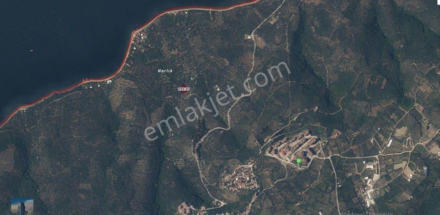 S1115 Ayhan Gezer Emlak'ta Edincik Mh 1379m2 Satılık Zeytinlik - Görsel 3