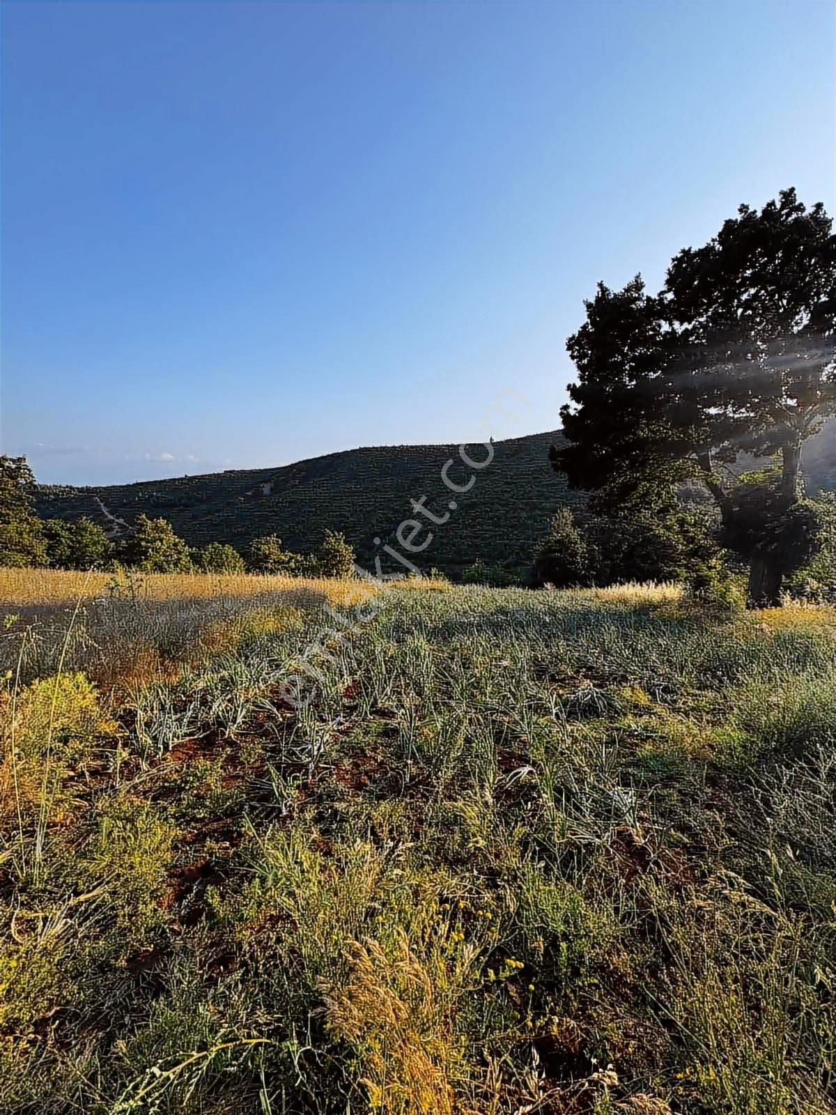 Bm Real Estate Yenişehir Kozderede Satılık 1750m2 Tek Tapu Tarla - Görsel 4