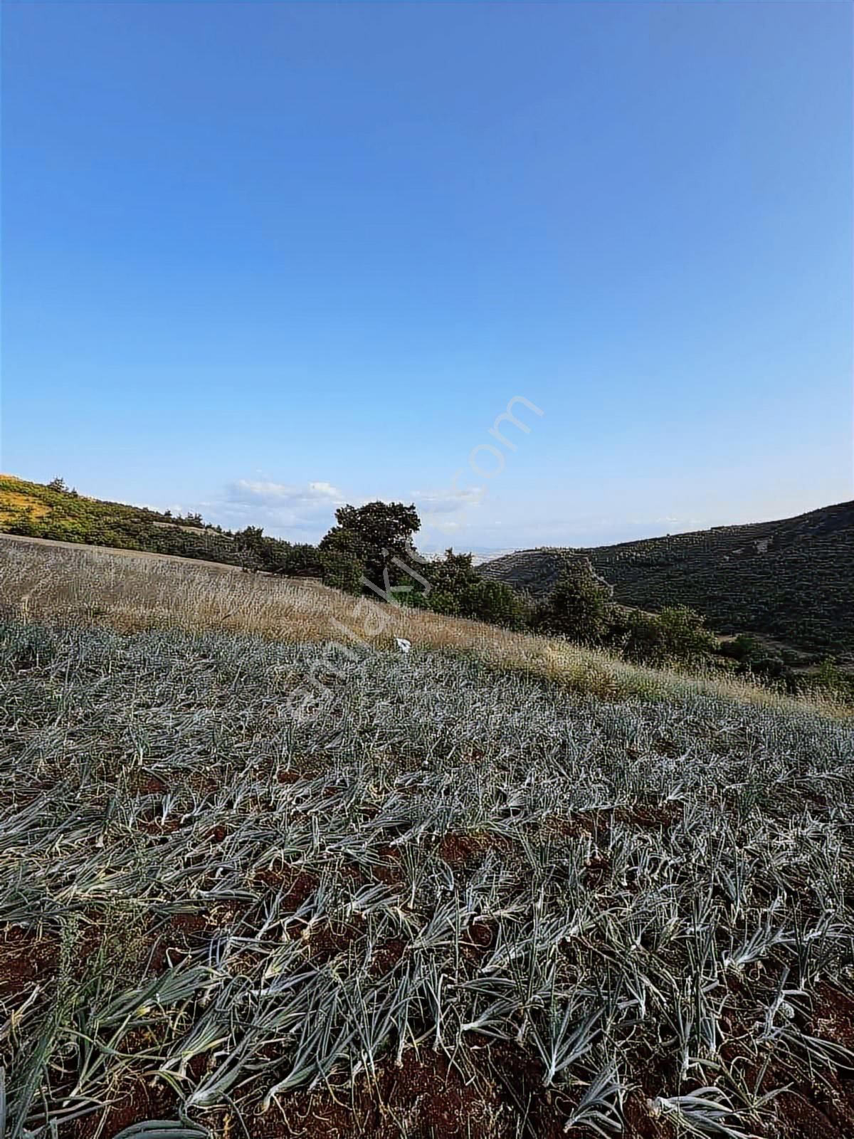 Bm Real Estate Yenişehir Kozderede Satılık 1750m2 Tek Tapu Tarla - Görsel 2