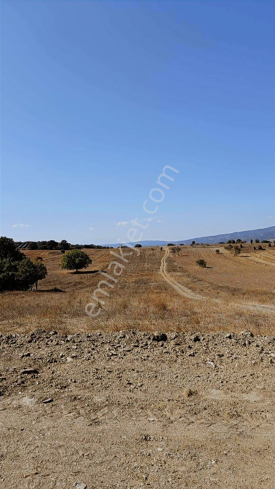 Bm Real Estate Bilecik Pazaryeri'nde Satılık 5985 M2 Tarla - Görsel 10
