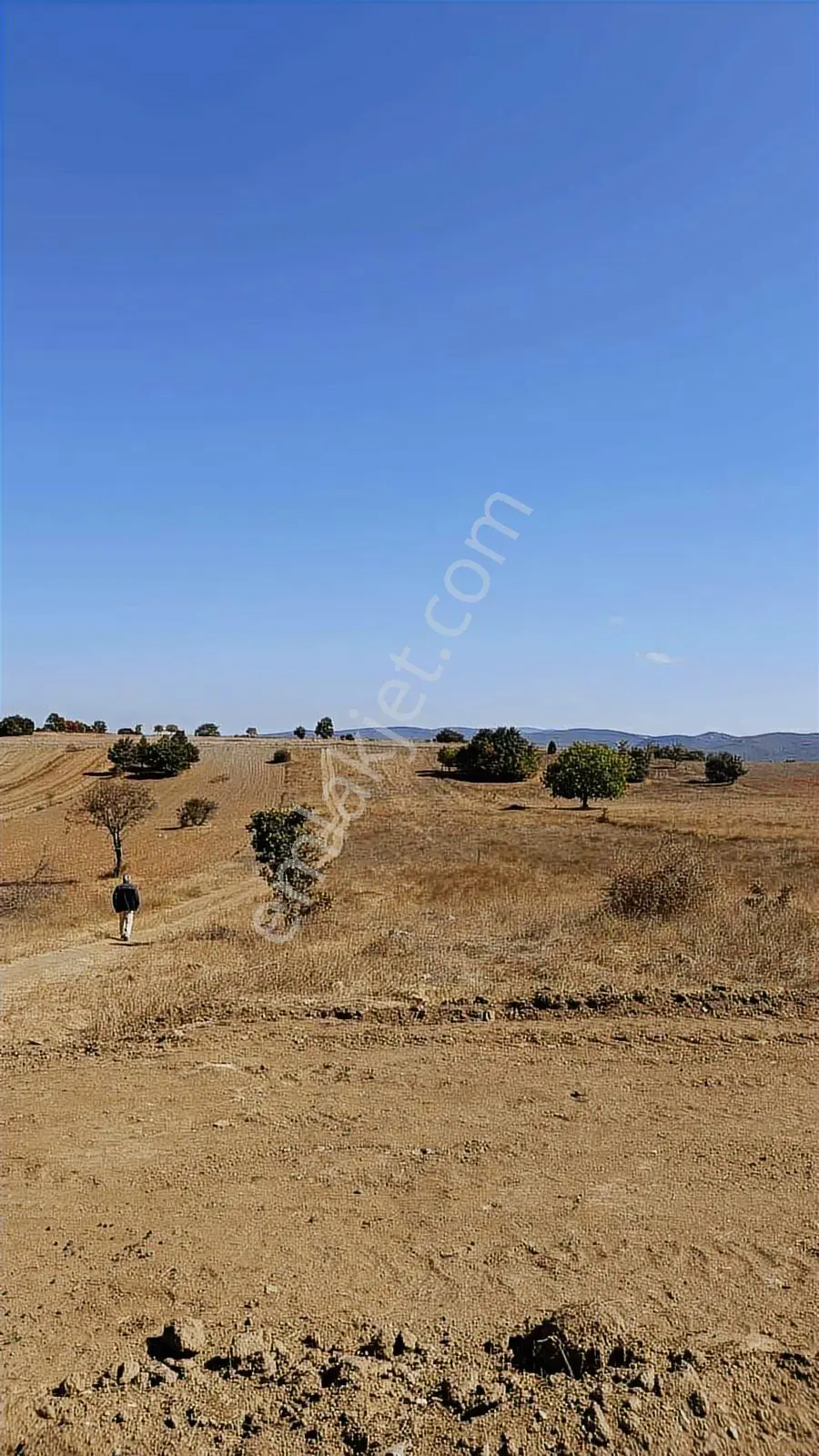 Bm Real Estate Pazaryeri Ahmetler'de Satılık 4788 M2 Tarla