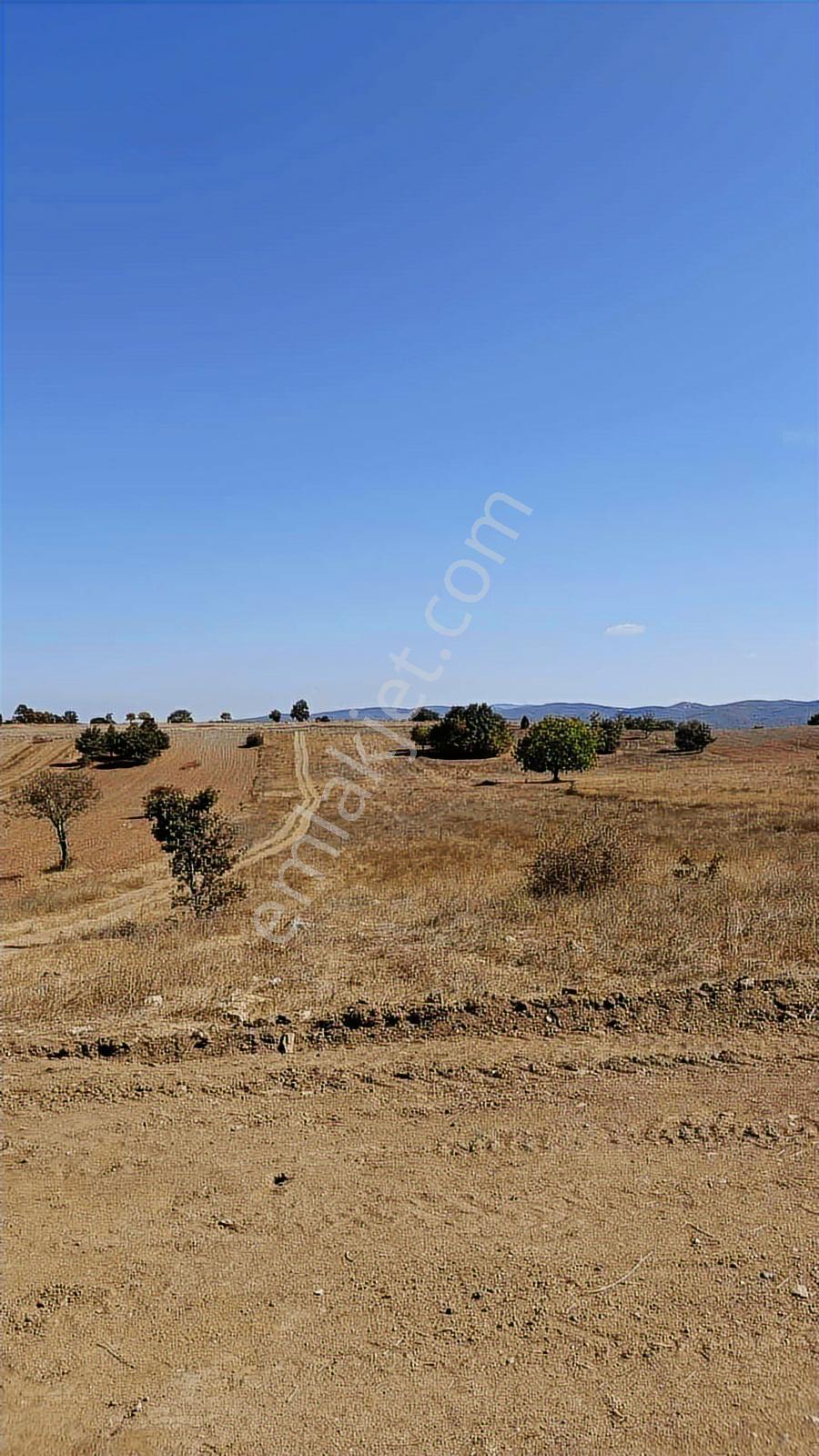 Bm Real Estate Pazaryeri Ahmetler'de Satılık 4788 M2 Tarla - Görsel 5