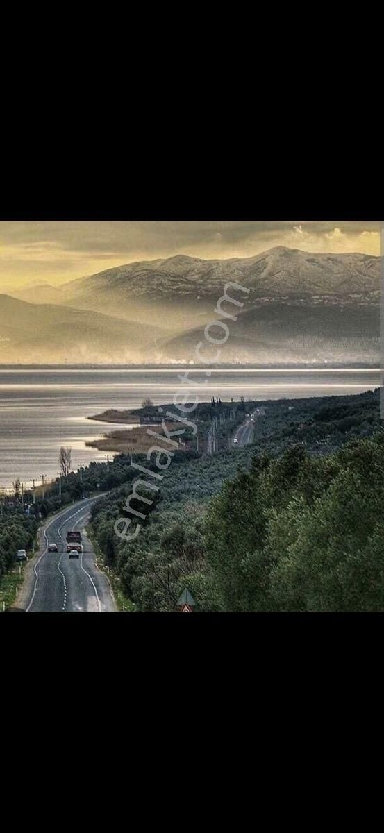 Sahibinden Uygun Fiyatlı Zeytinlik Ve Kirazlık - Görsel 2