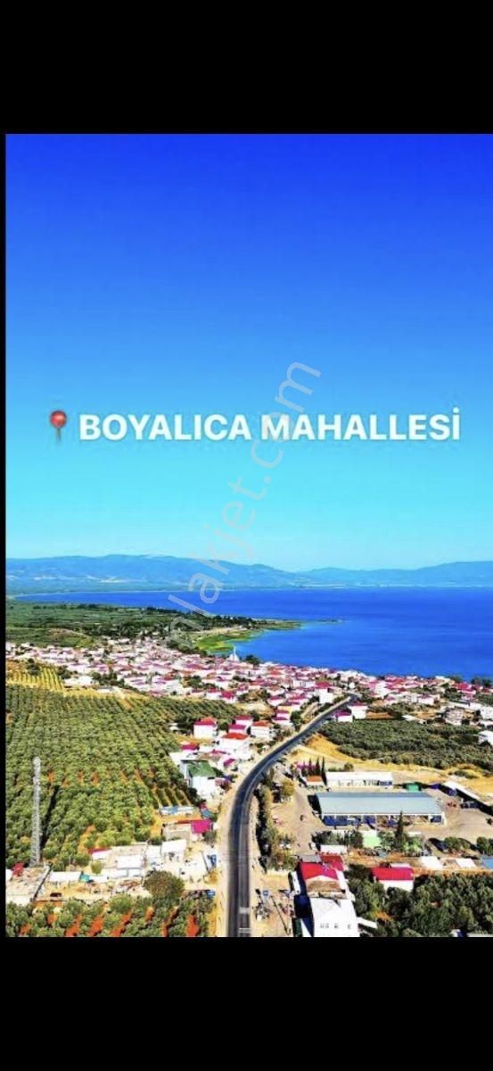 Sahibinden Uygun Fiyatlı Zeytinlik Ve Kirazlık