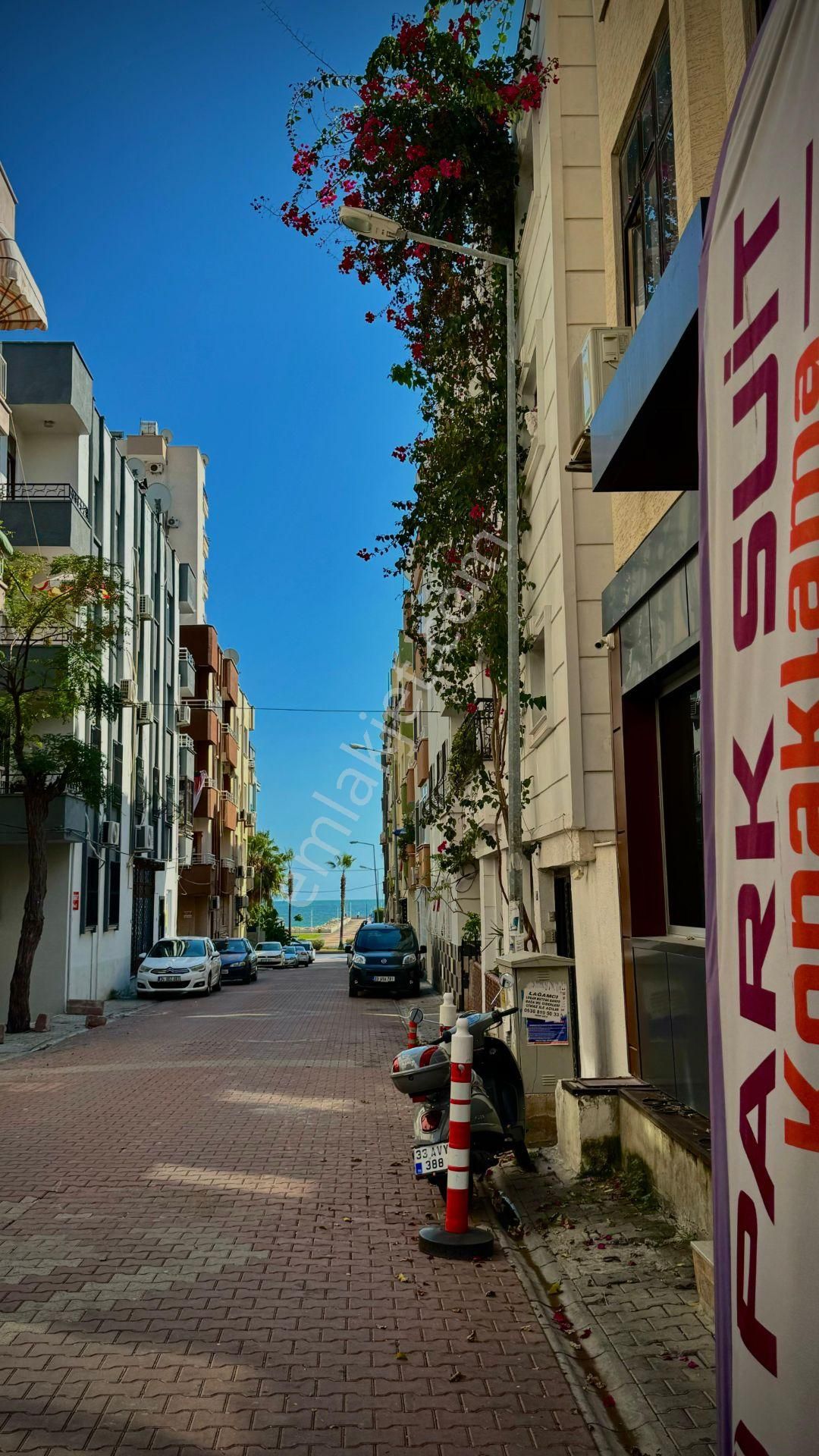 Forum Plus - Görsel 3