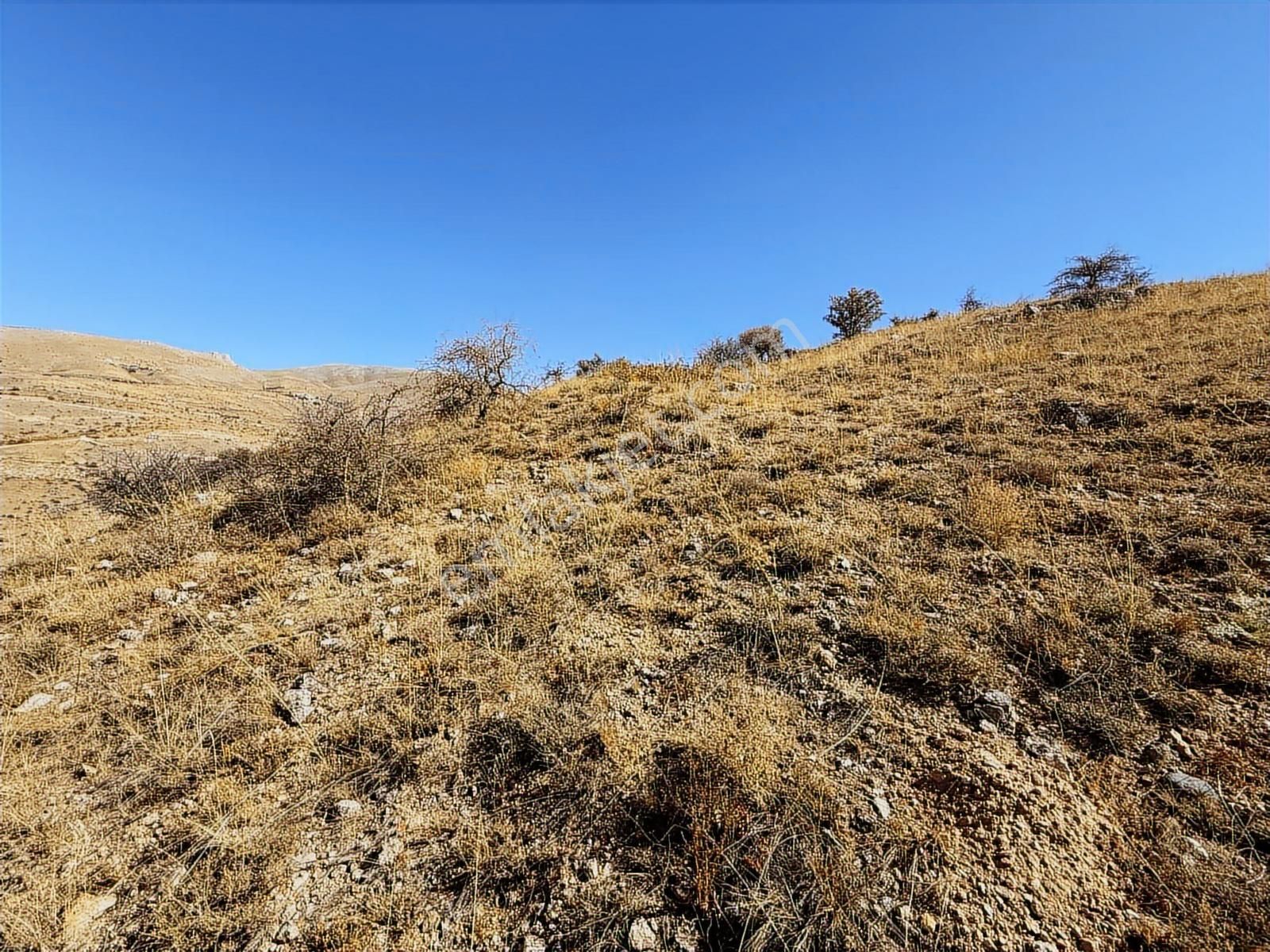 Coldwell Bnaker Safir'den Konak Da 6525 M² Satılık Bağ - Görsel 2