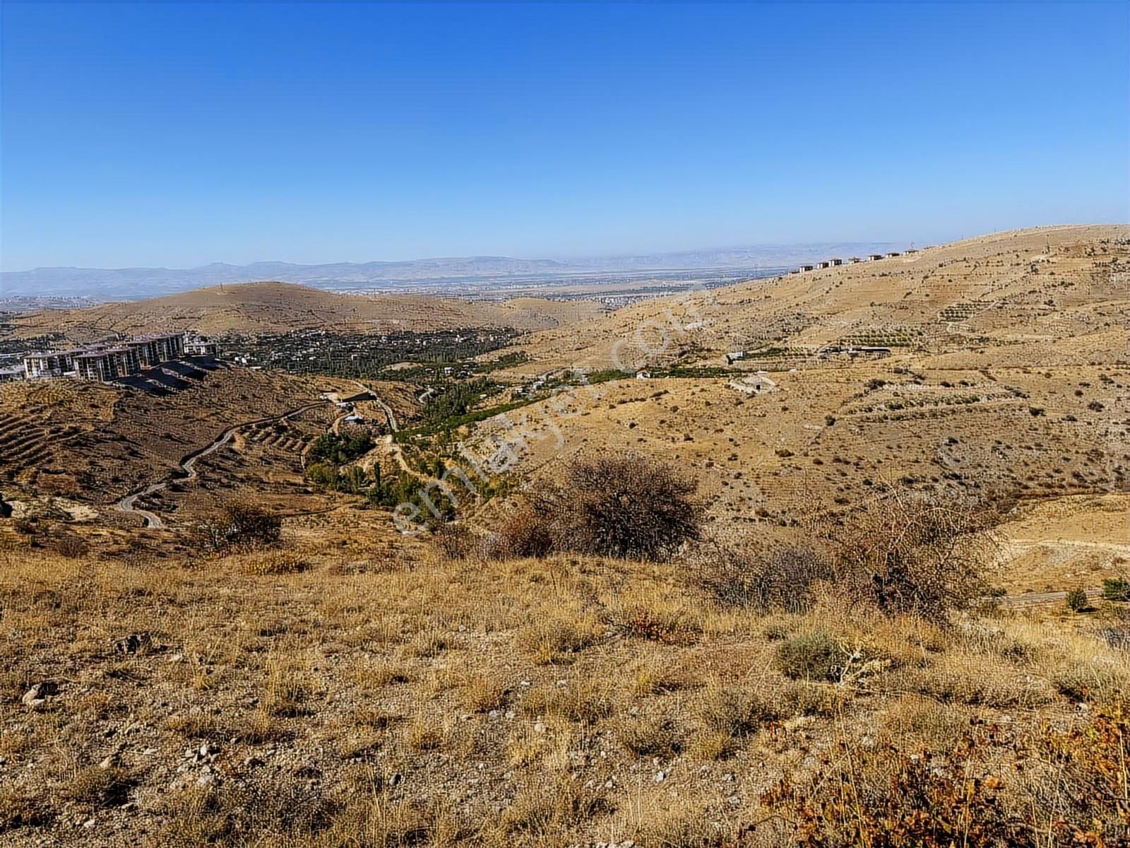 Coldwell Bnaker Safir'den Konak Da 6525 M² Satılık Bağ - Görsel 5