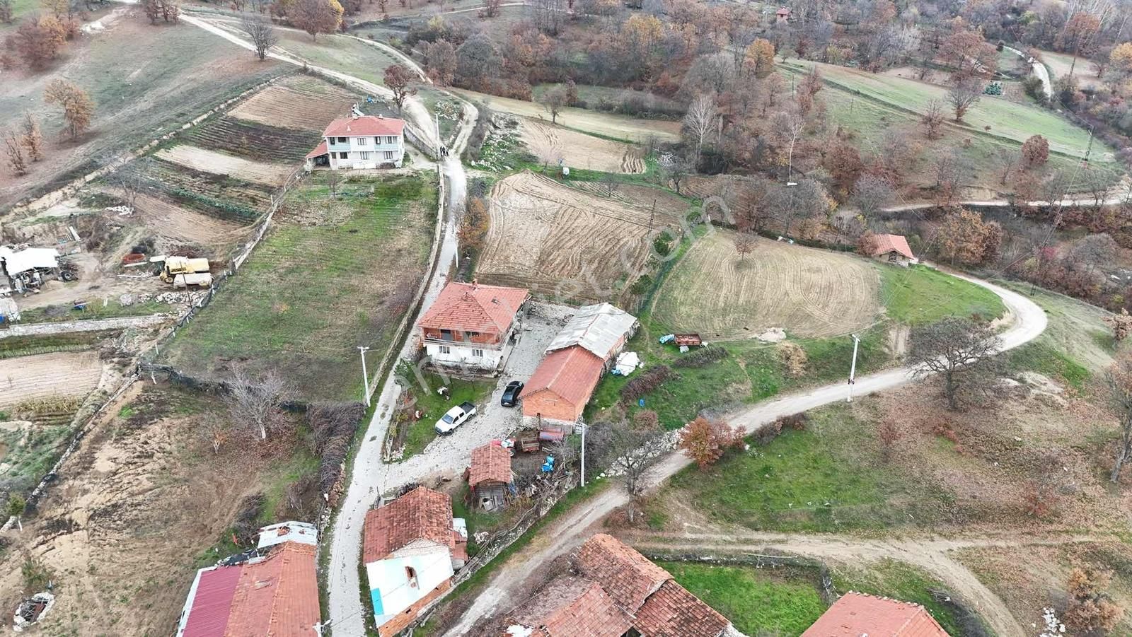 Bursa Büyükorhan Satılık 49 Dönüm Arazi