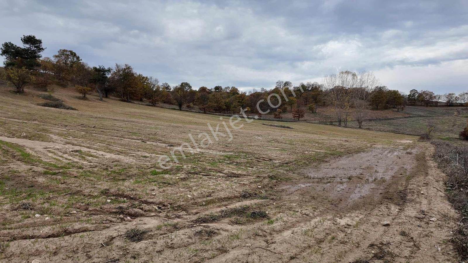 Bursa Büyükorhan Satılık 49 Dönüm Arazi - Görsel 31