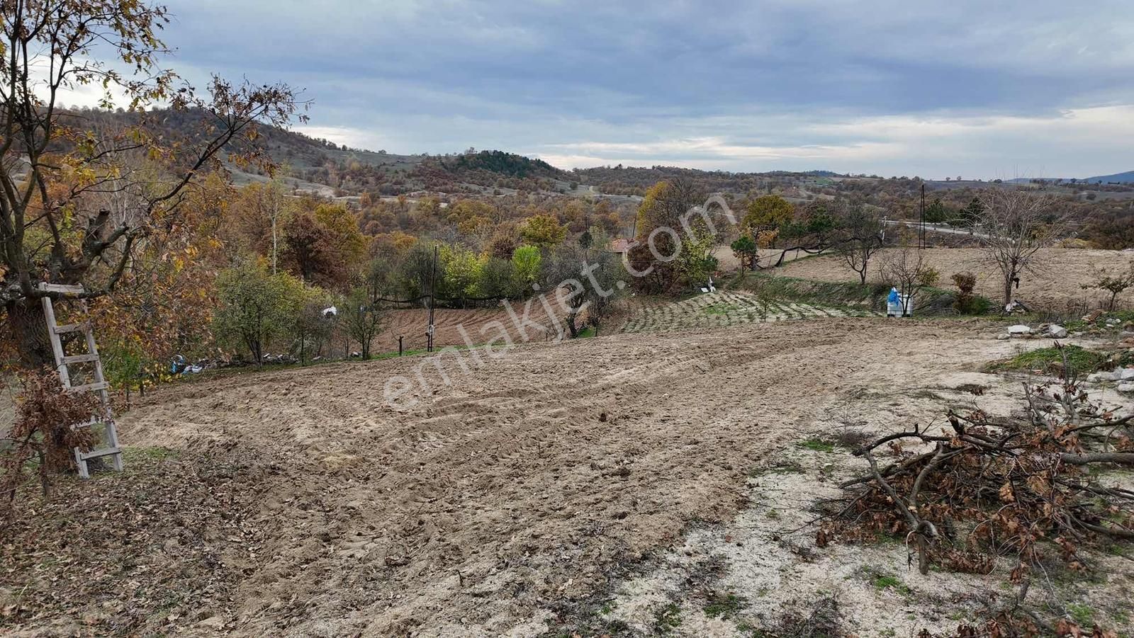 Bursa Büyükorhan Satılık 49 Dönüm Arazi - Görsel 25