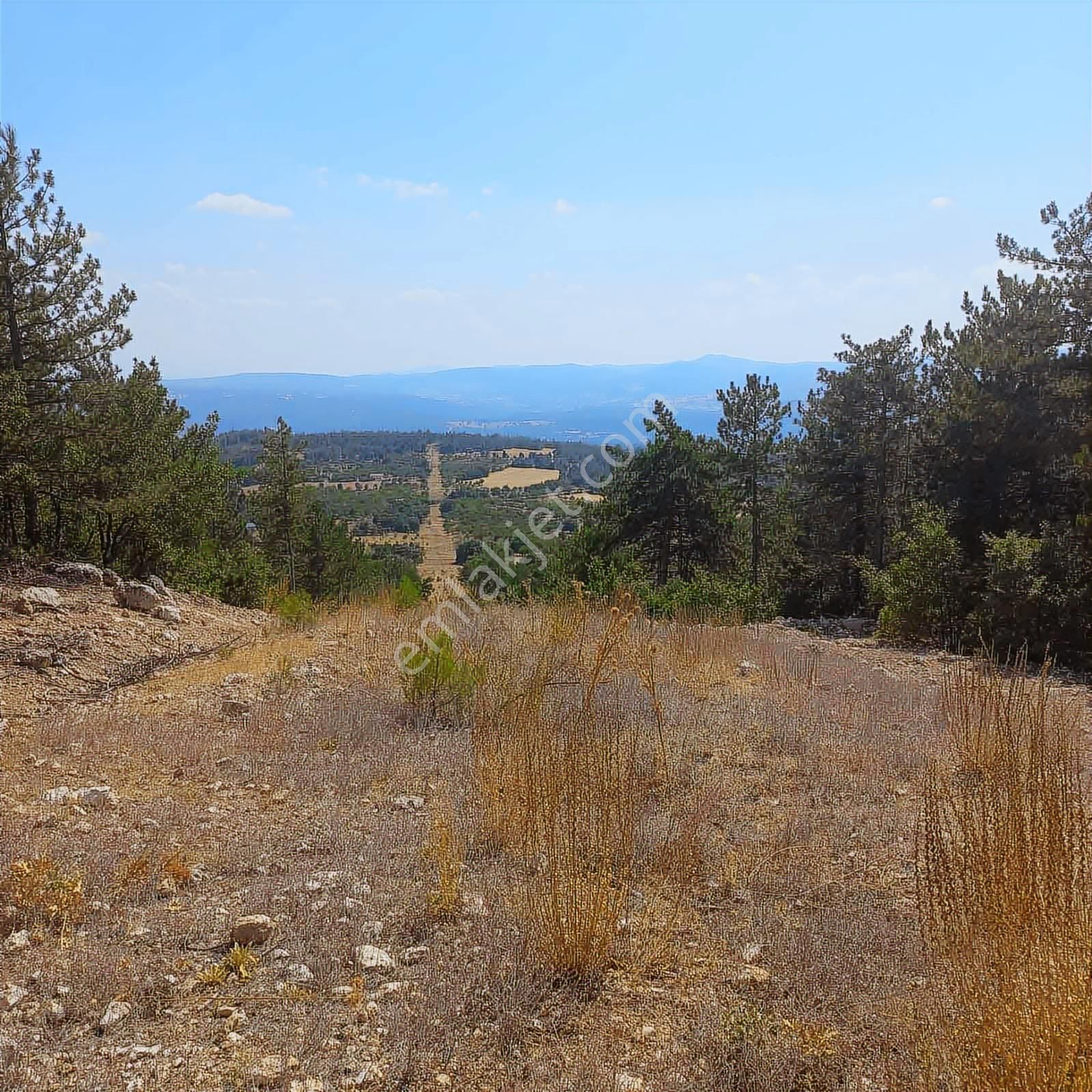 Bursa Keles Yatırımlık Tarla - Görsel 6