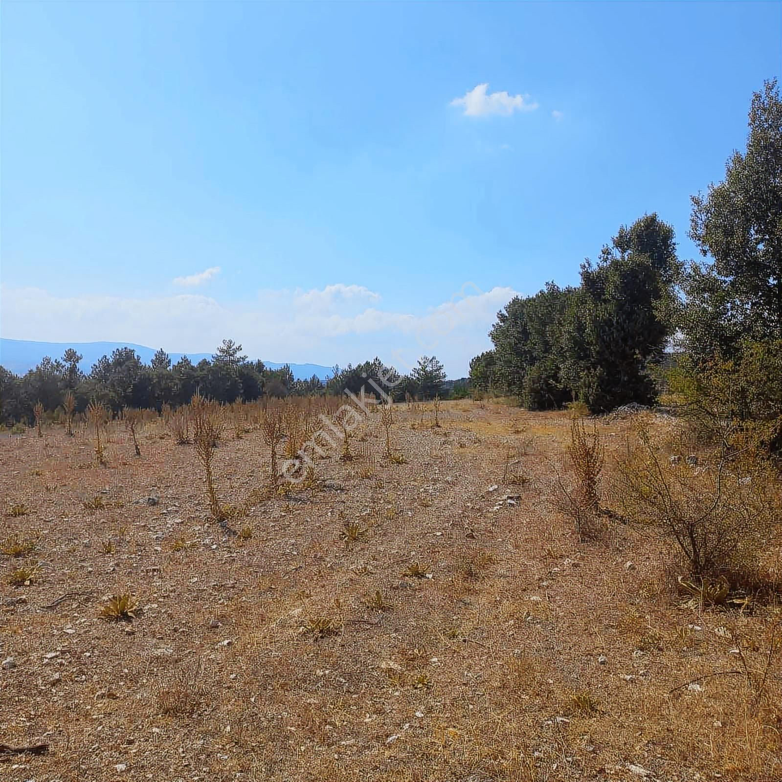 Bursa Keles Yatırımlık Tarla - Görsel 10