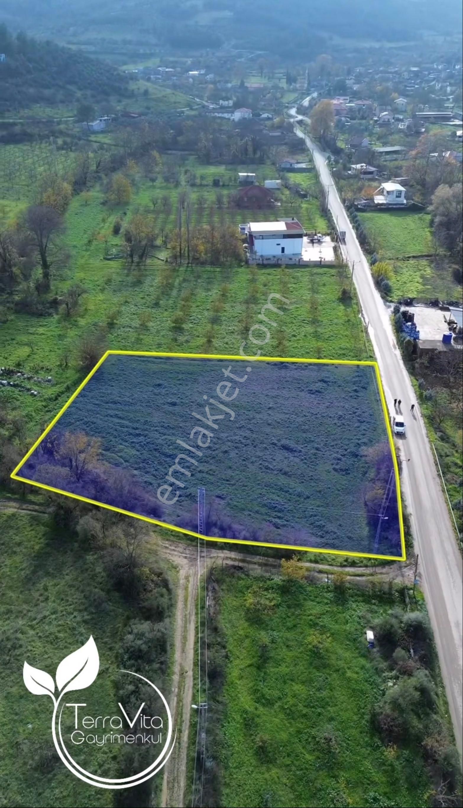 Geyve Safibey’de 2.331 M² | 57 Metre Yola Cephe | 111/1 Ada | Süper Konum - Görsel 5