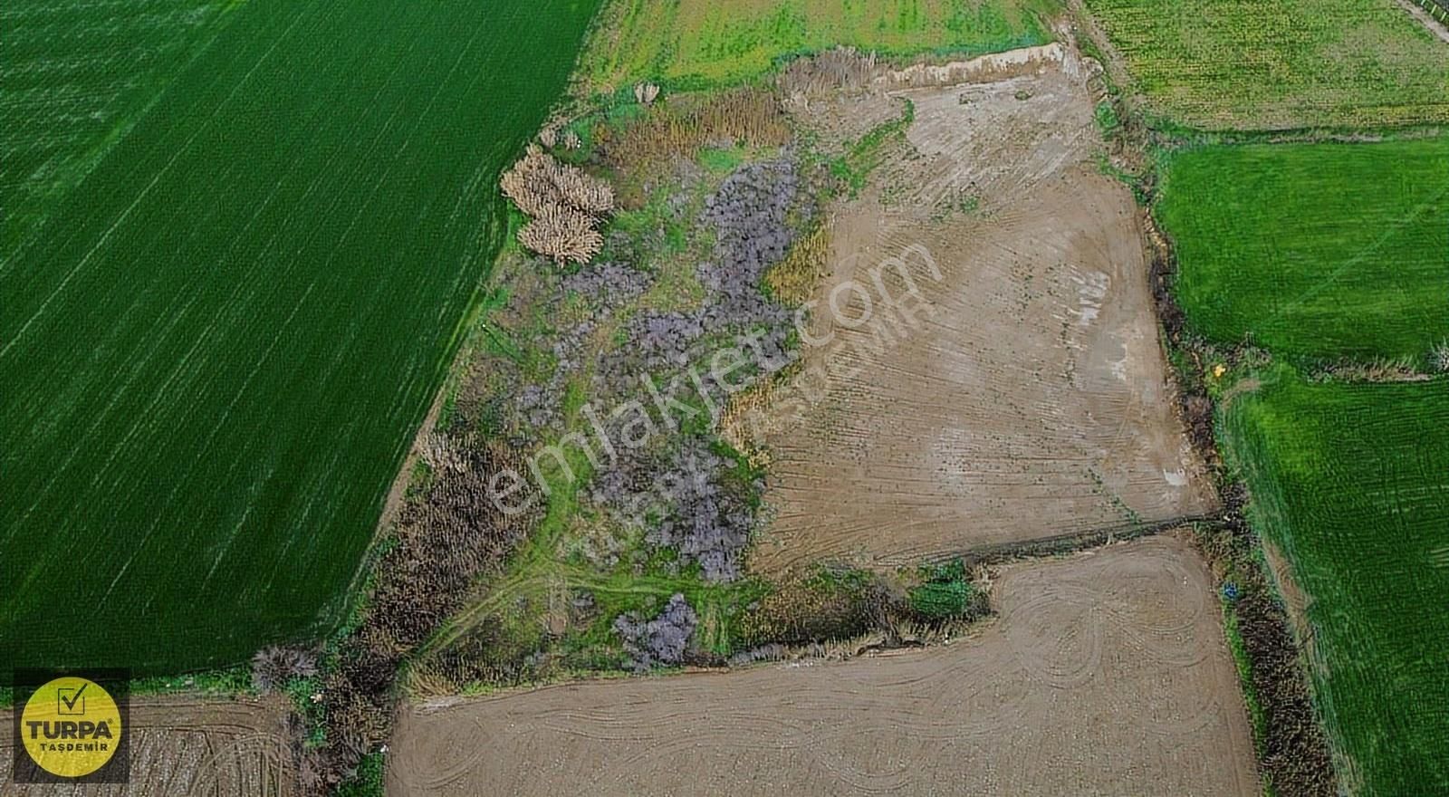 Turpa Taşdemir'den Tire Eskioba Da Yatırımlık Satılık Tarla - Görsel 9
