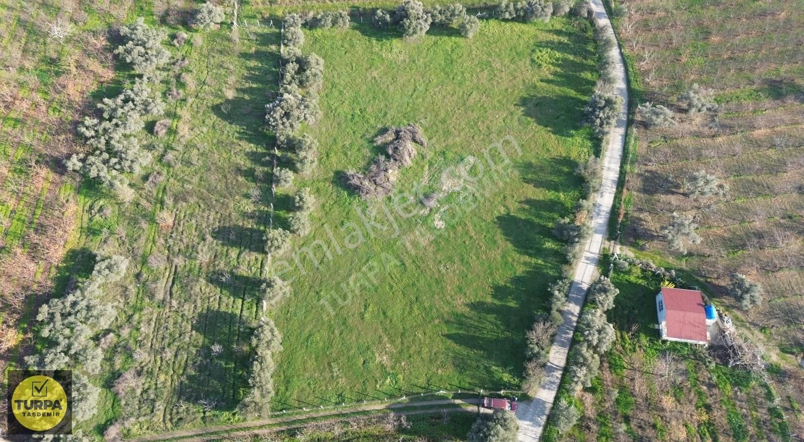 Kemalpaşa Ören 75.yıl Cumhuriyet Mahallesi'nde Satılık Tarla - Görsel 10