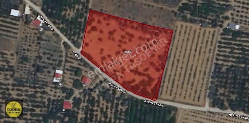 Kemalpaşa Ören 75.yıl Cumhuriyet Mahallesi'nde Satılık Tarla - Görsel 6