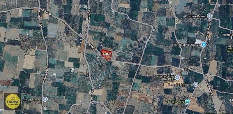 Kemalpaşa Ören 75.yıl Cumhuriyet Mahallesi'nde Satılık Tarla - Görsel 3