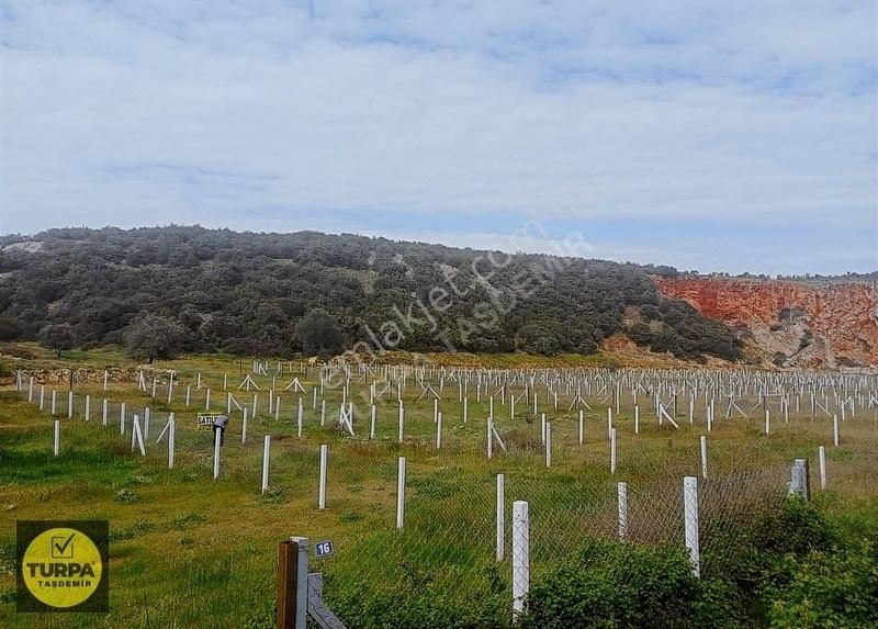 Didim Akyeniköy Bodrum Anayol Üzeri Satılık Hisseli Parsel Acil - Görsel 11