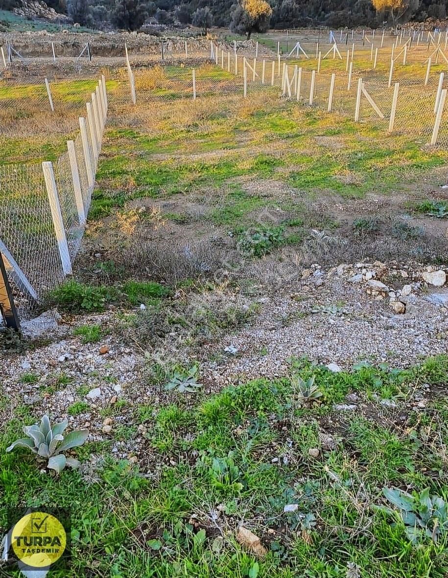 Didim Akyeniköy Bodrum Anayol Üzeri Satılık Hisseli Parsel Acil - Görsel 18