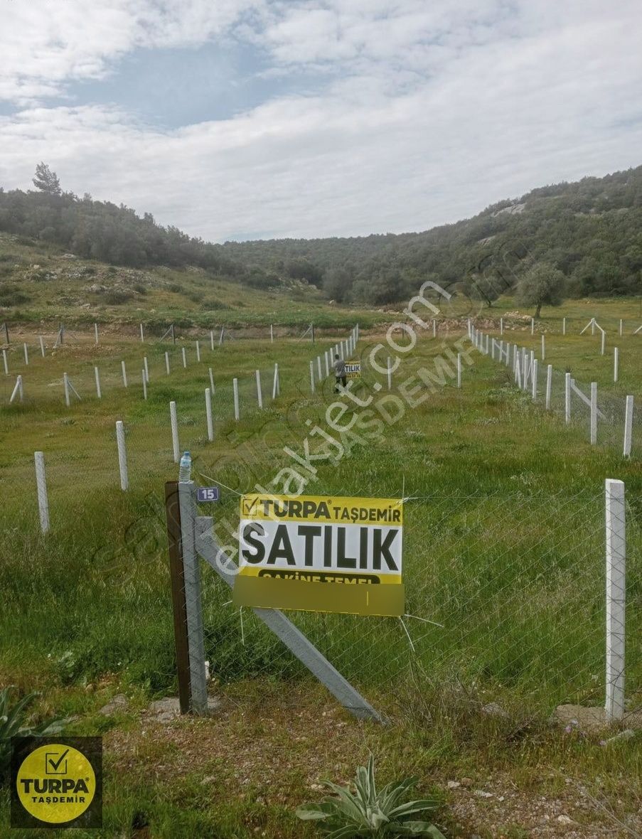 Didim Akyeniköy Bodrum Anayol Üzeri Satılık Hisseli Parsel Acil - Görsel 13