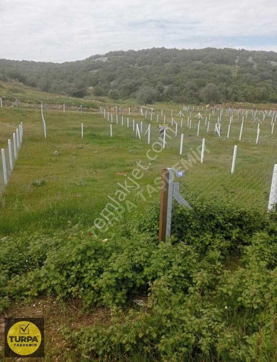 Didim Akyeniköy Bodrum Anayol Üzeri Satılık Hisseli Parsel Acil - Görsel 12