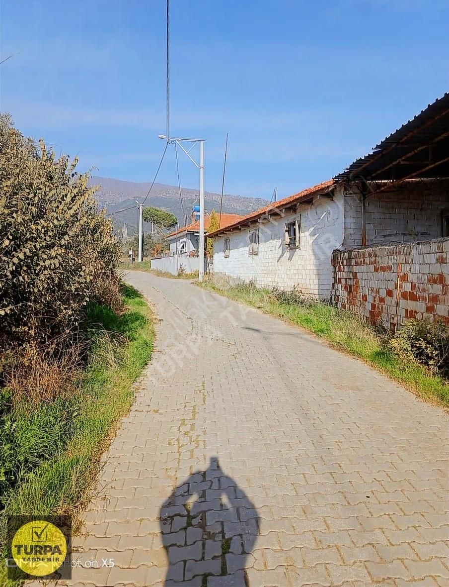 Turpa Taşdemir'den Kiraz Ceritler Mahallesinde Satılık Zeytinlik - Görsel 15