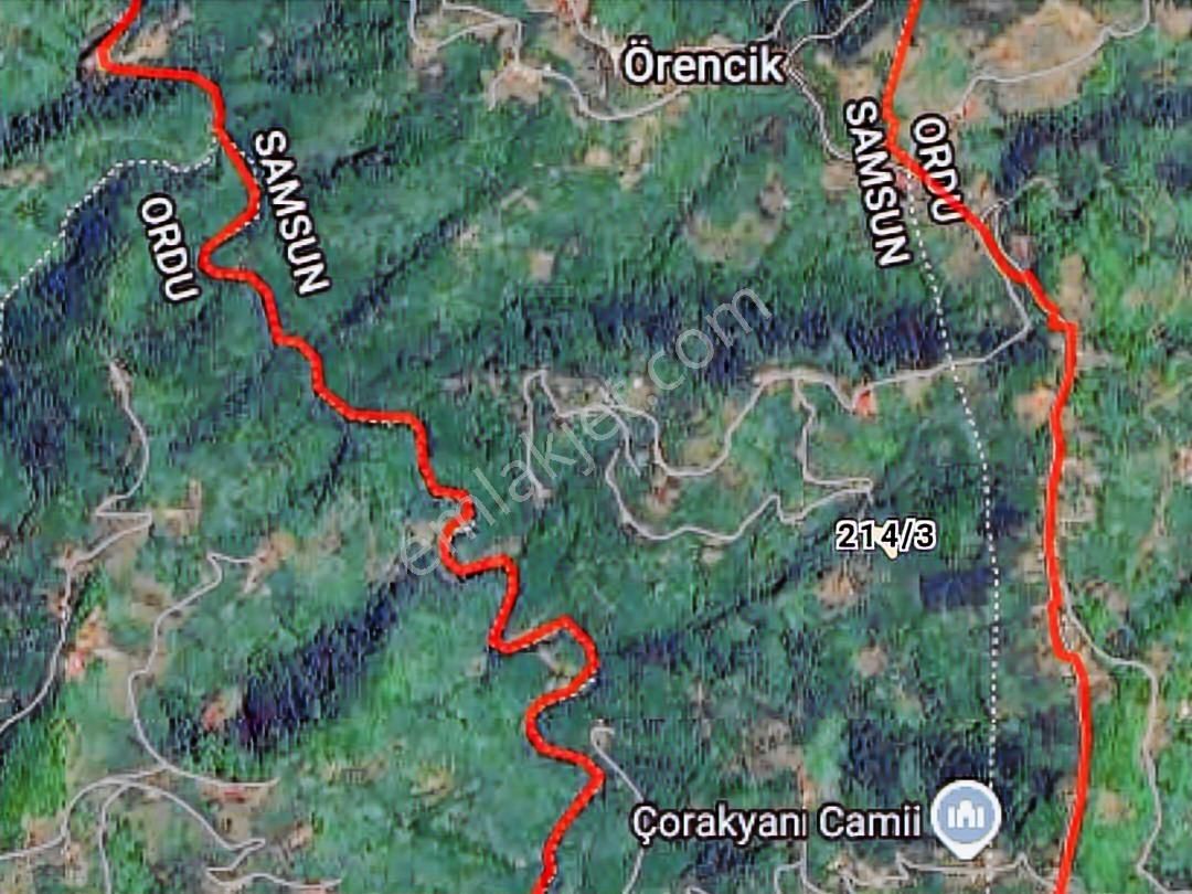 Murat Türkmen'den Samsun_terme'de Tek_tapu 1200m2 Fındık_bahçesi - Görsel 5
