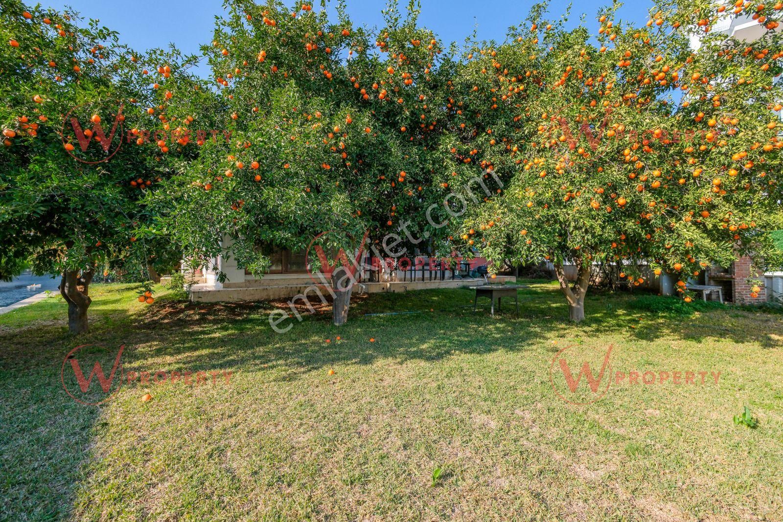 W Property Lemas Konaklarında 4+1 + Kış Bahçeli Müstakil Villa - Görsel 29