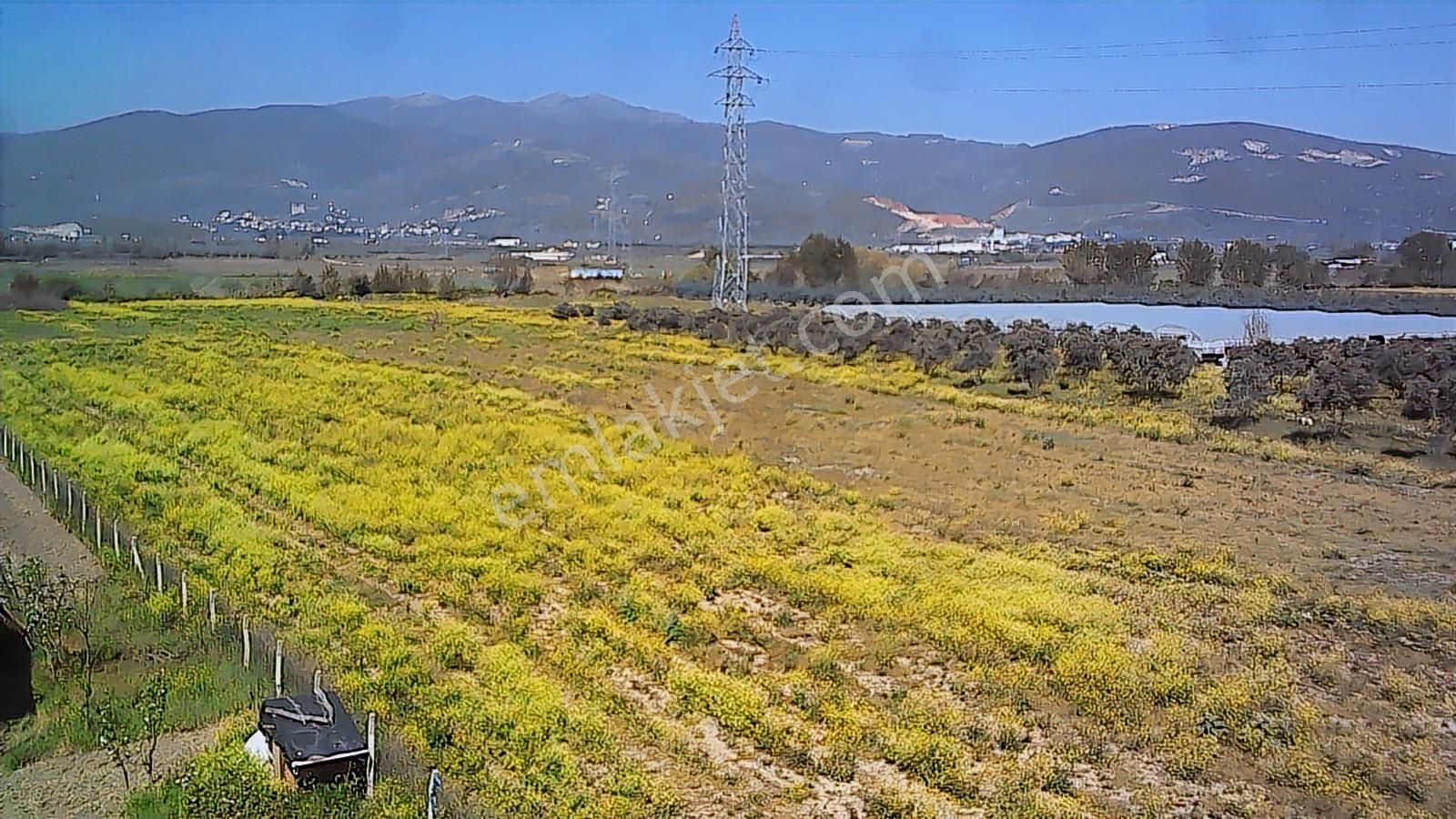 Gw Vizyon Gayrimenkulden Orhangazi Örnekköyde Satılık Tarla. - Görsel 2