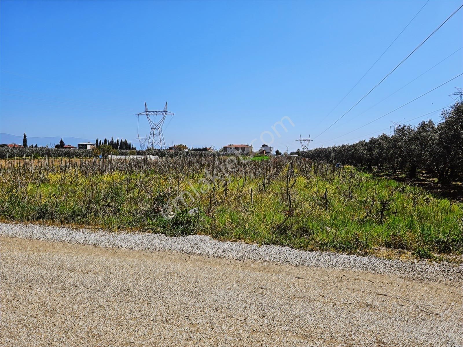 Gw Vizyon Gayrimenkulden Orhangazi Örnekköyde Satılık Tarla. - Görsel 30