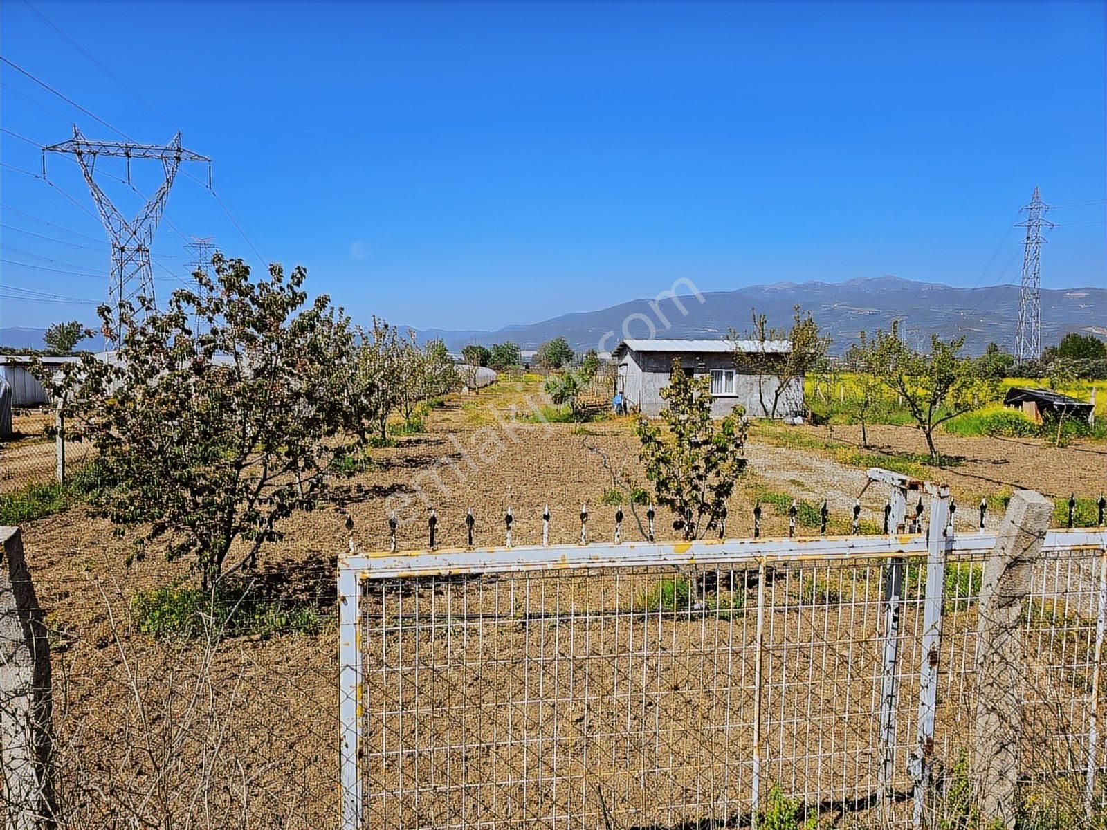 Gw Vizyon Gayrimenkulden Orhangazi Örnekköyde Satılık Tarla. - Görsel 23