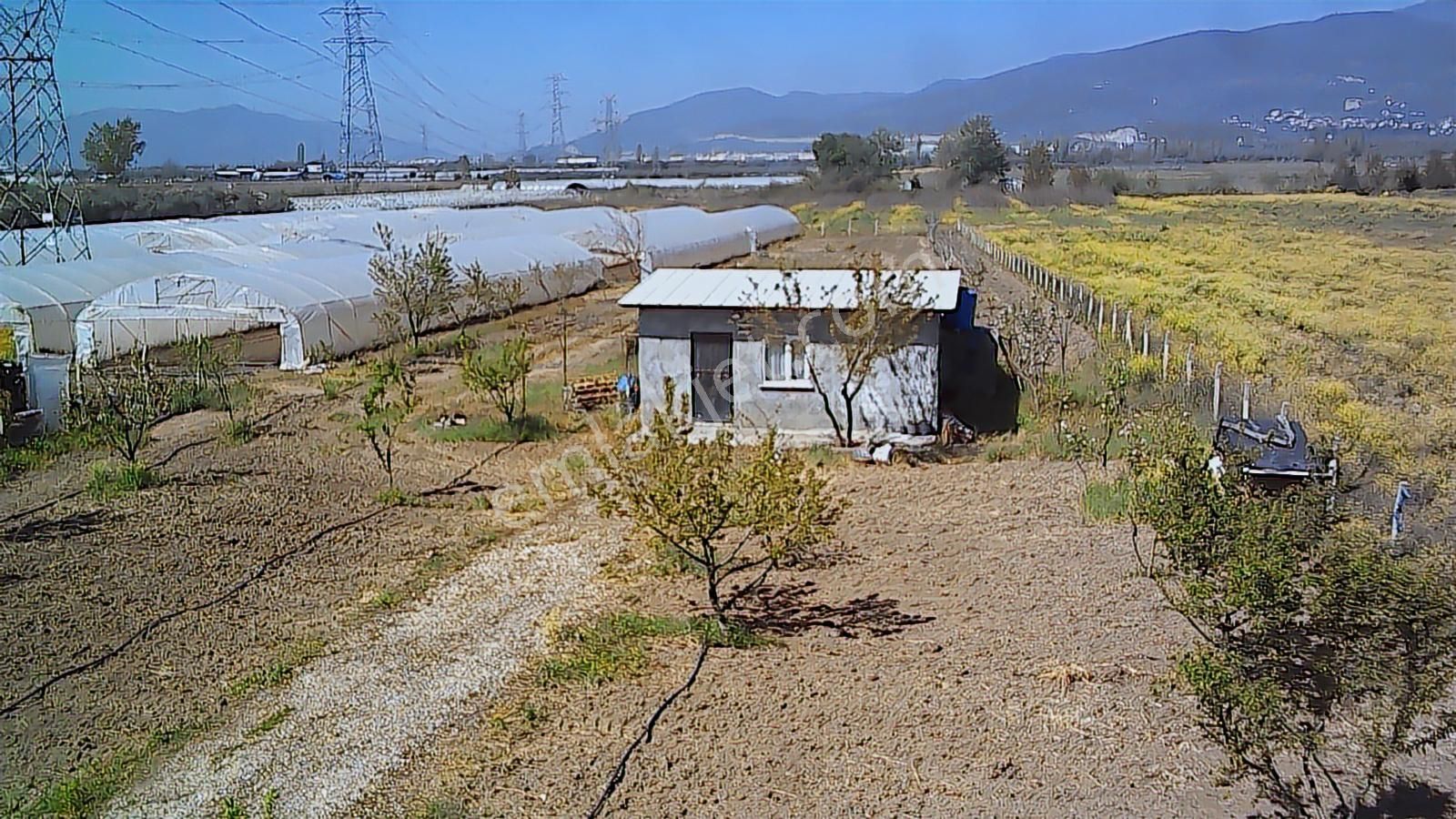 Gw Vizyon Gayrimenkulden Orhangazi Örnekköyde Satılık Tarla. - Görsel 5