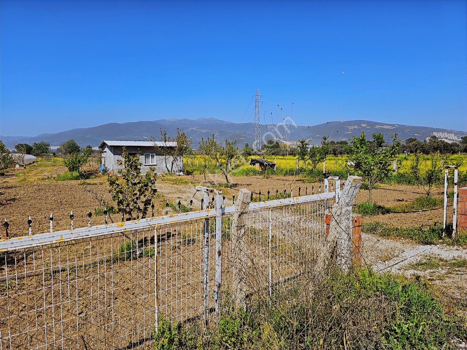 Gw Vizyon Gayrimenkulden Orhangazi Örnekköyde Satılık Tarla. - Görsel 20