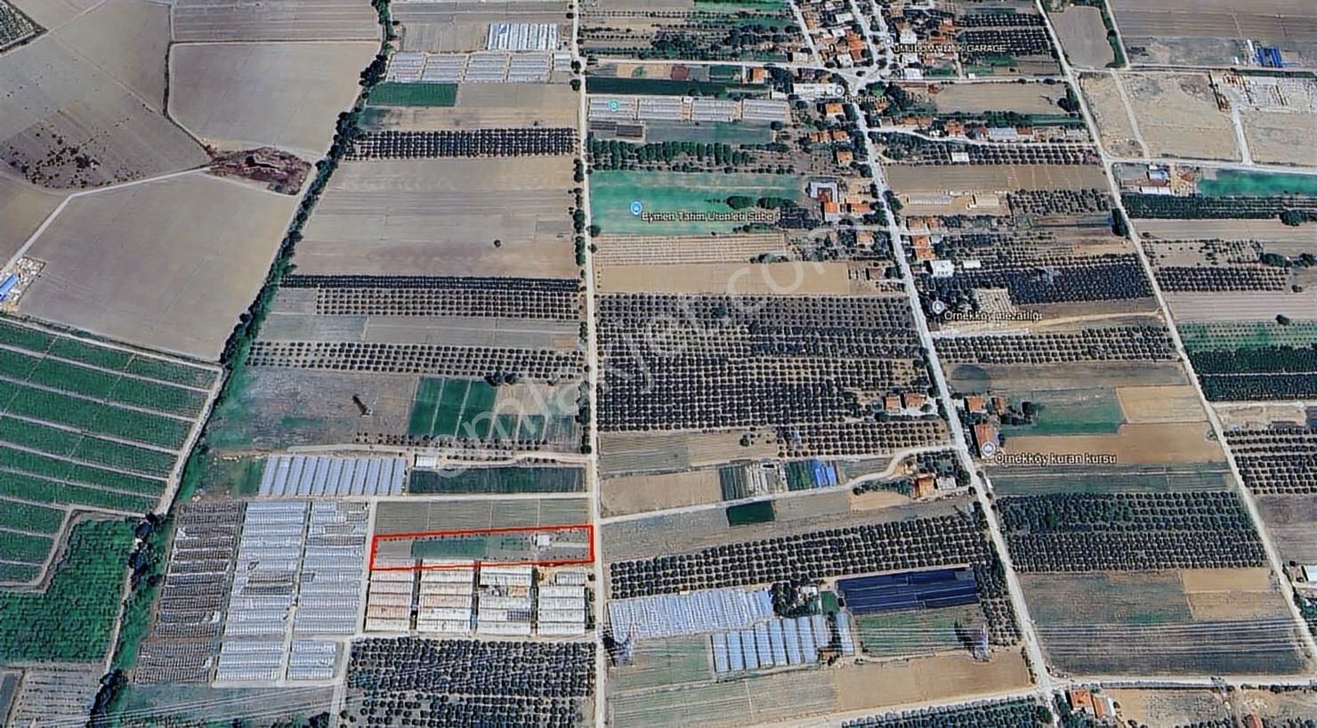 Gw Vizyon Gayrimenkulden Orhangazi Örnekköyde Satılık Tarla.