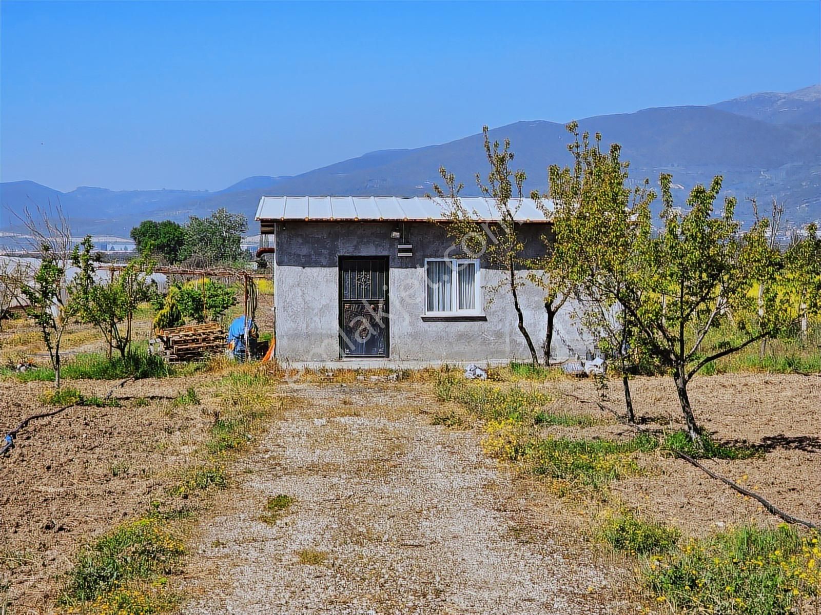 Gw Vizyon Gayrimenkulden Orhangazi Örnekköyde Satılık Tarla. - Görsel 18