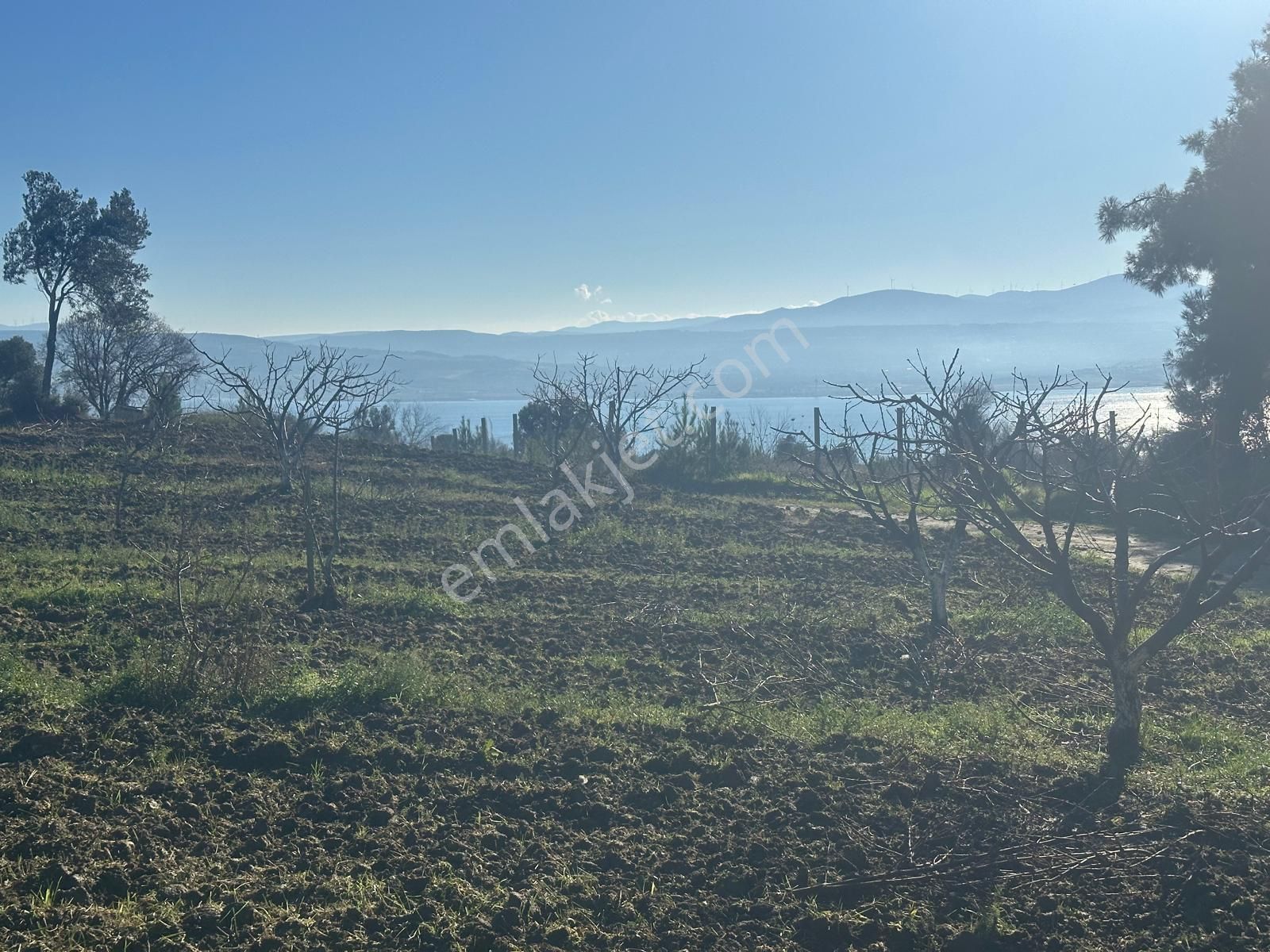 Gelibolu Burhanlı'da Yatırımlık Arsa-acil Satılık!!!