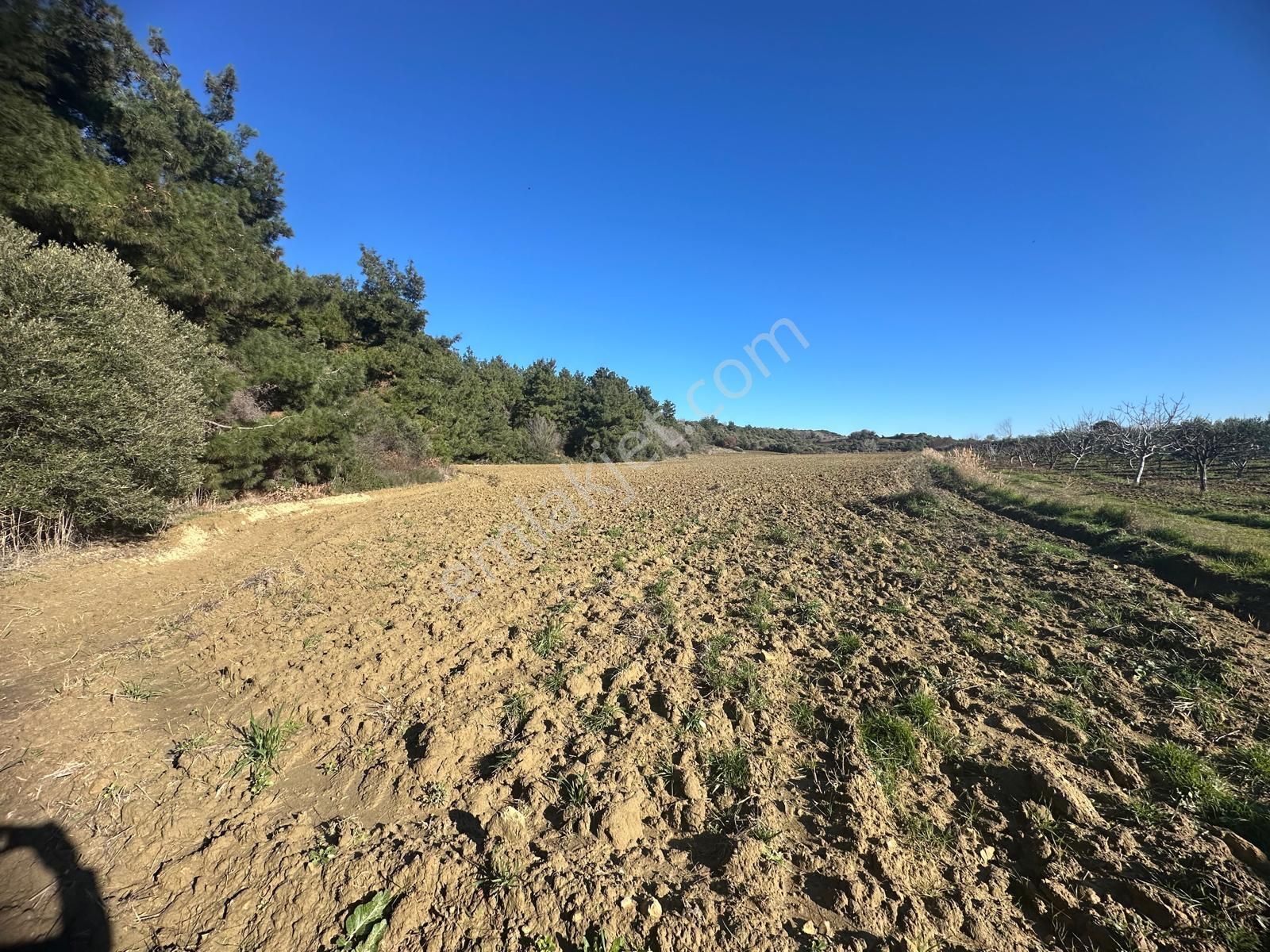 Gelibolu Burhanlı'da Yatırımlık Arsa-acil Satılık!!! - Görsel 3