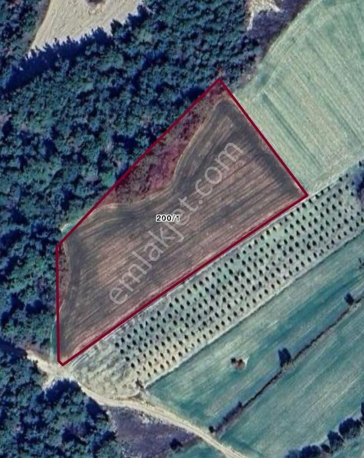 Gelibolu Burhanlı'da Yatırımlık Arsa-acil Satılık!!! - Görsel 8