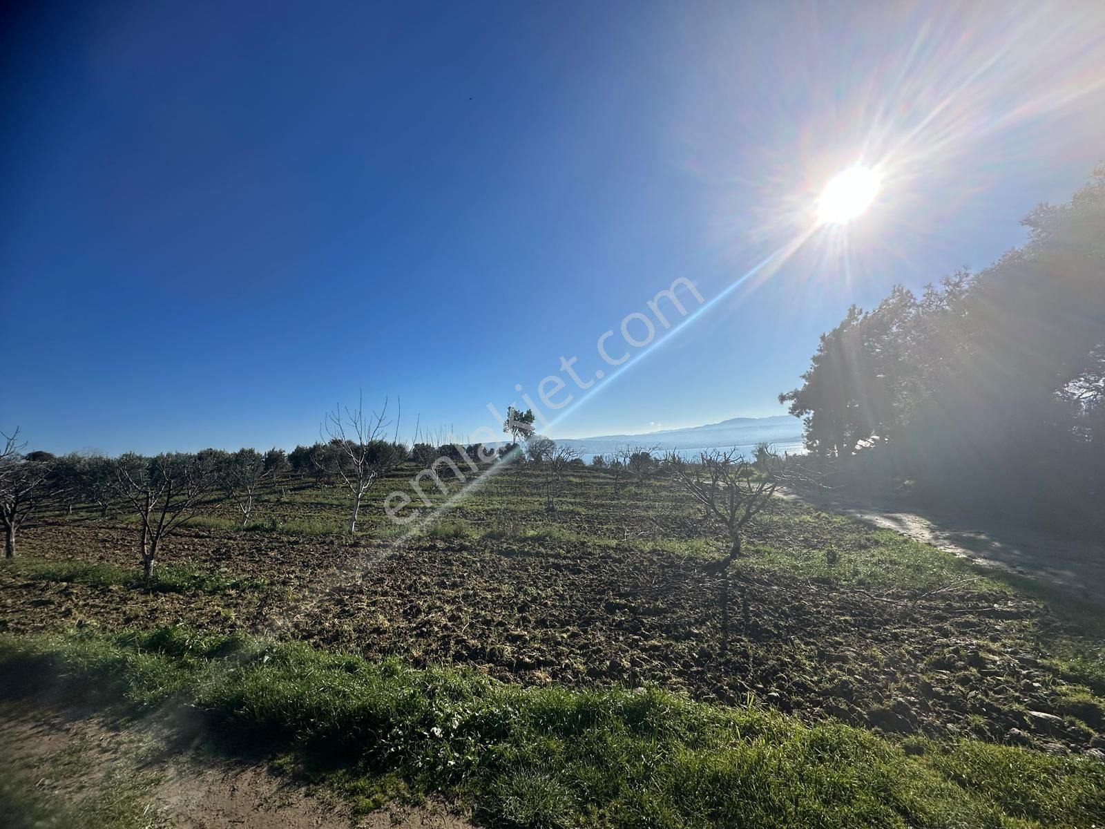 Gelibolu Burhanlı'da Yatırımlık Arsa-acil Satılık!!! - Görsel 6